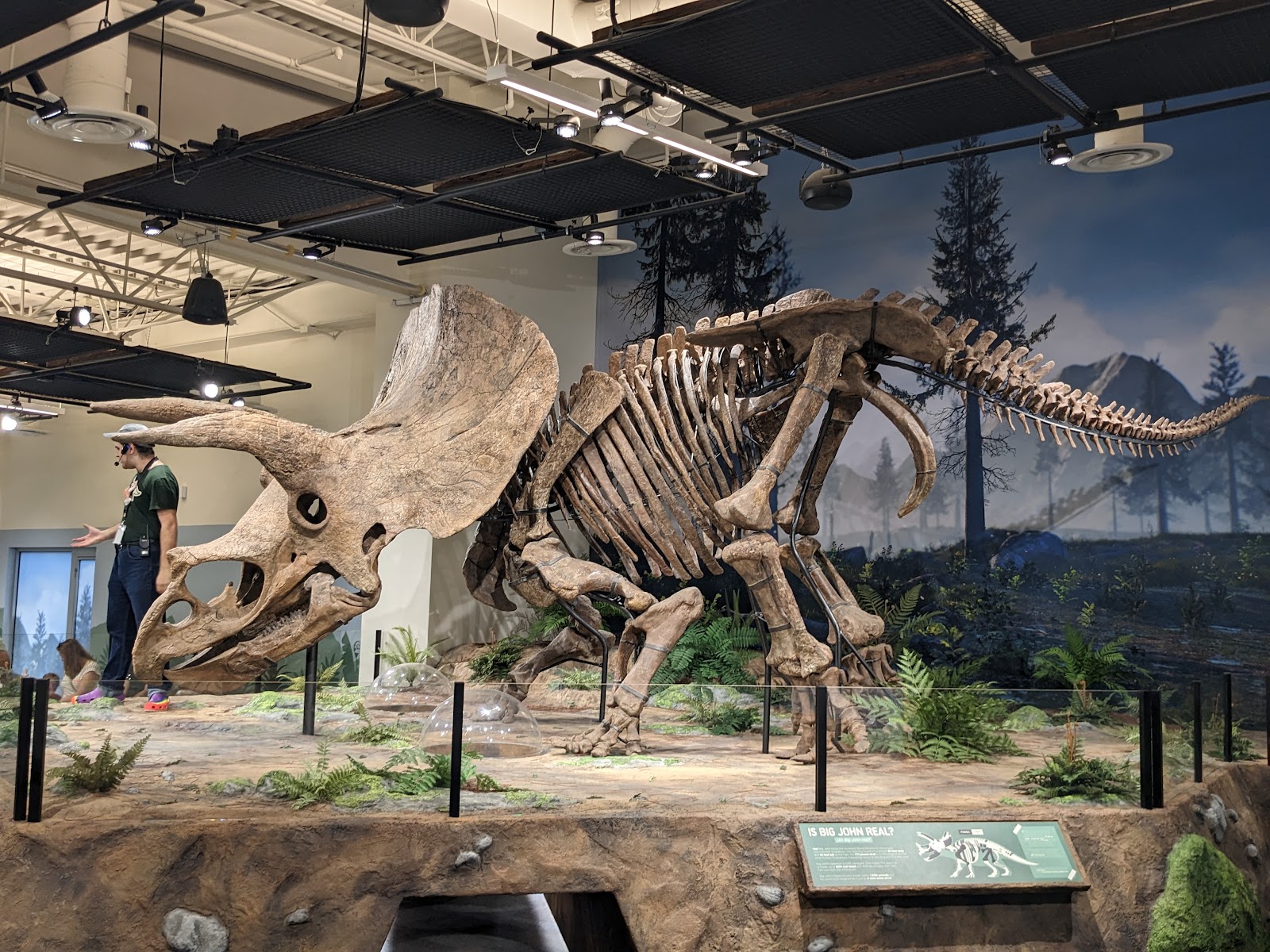 Glazer Children's Museum — Oficiais
