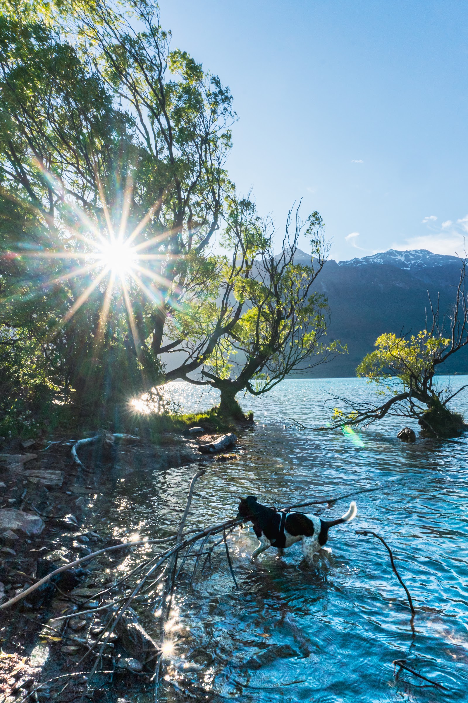 Glenorchy — Oficiais