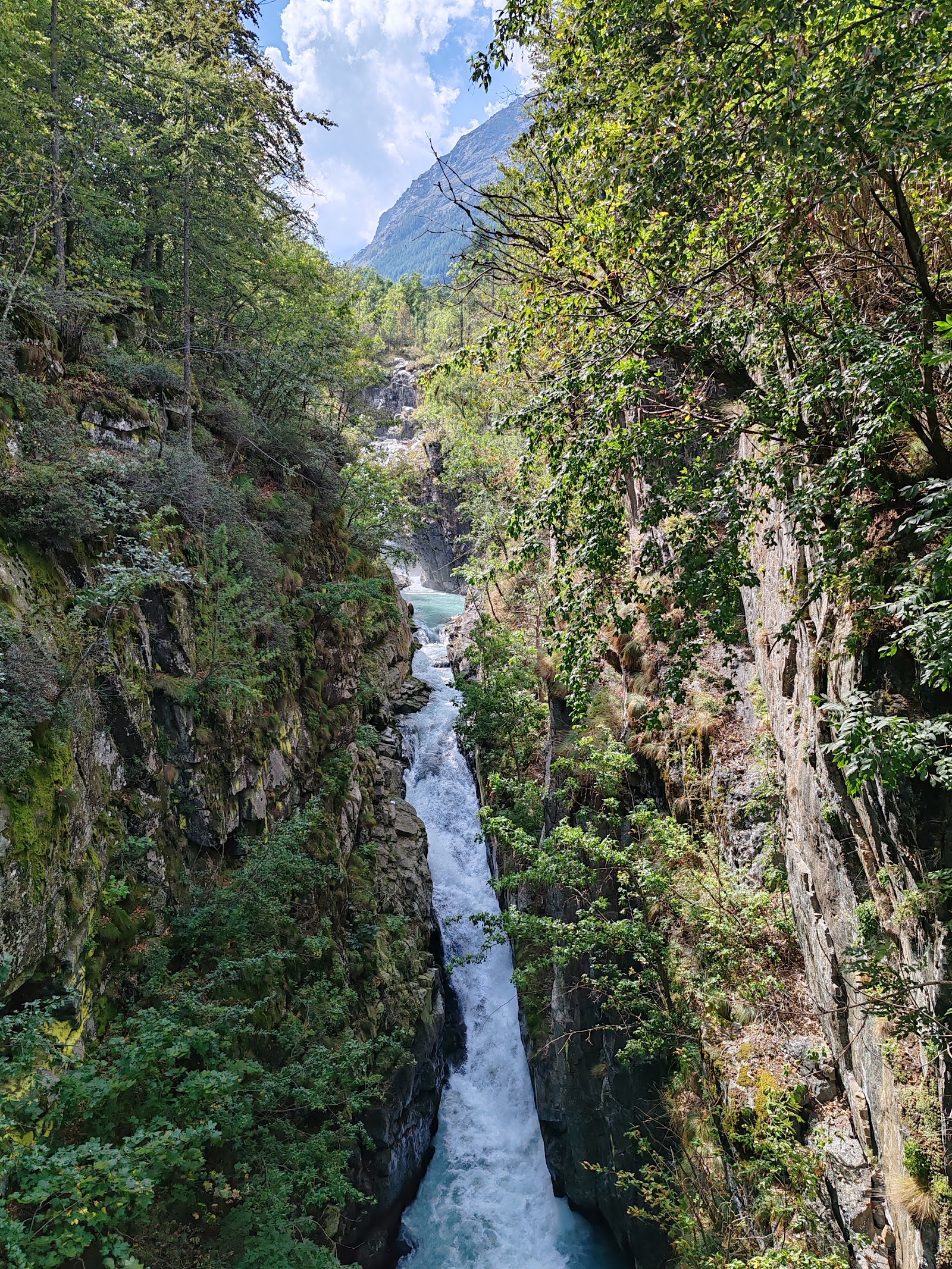 Gorgia di Saulera