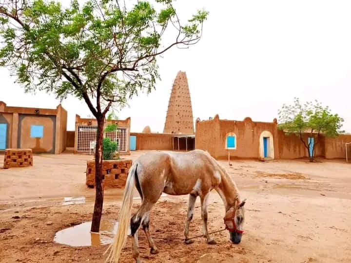 Grande Mosquée d'Agadez — Oficiais