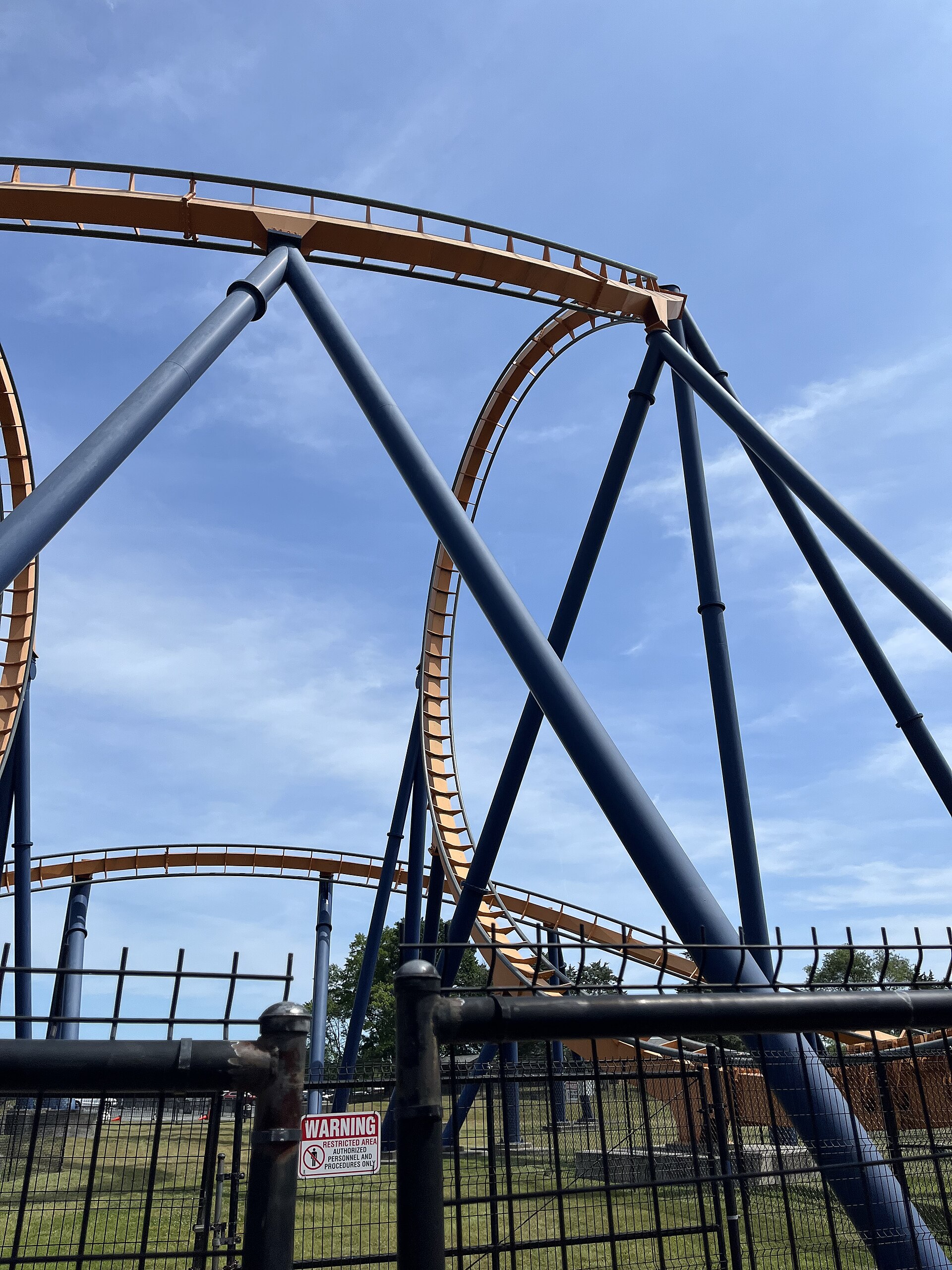 Great Pumpkin Coaster