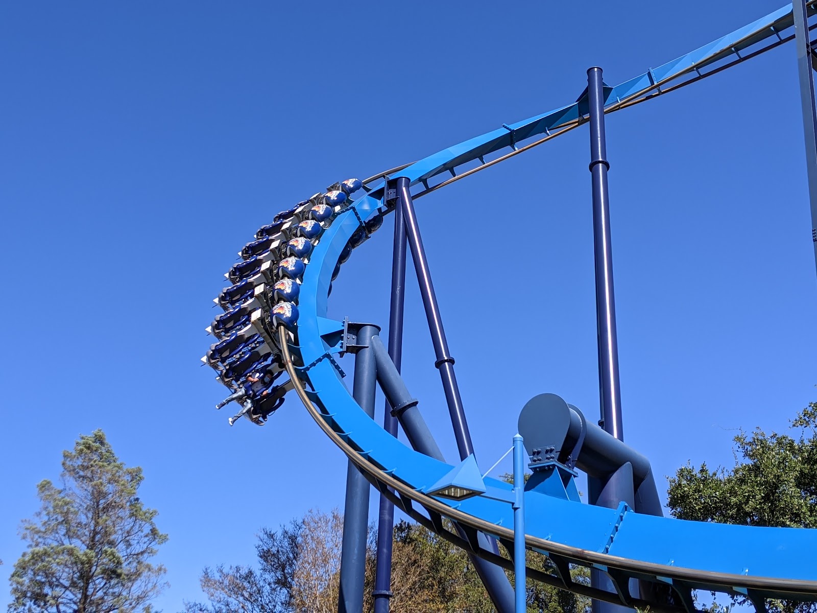 Great White