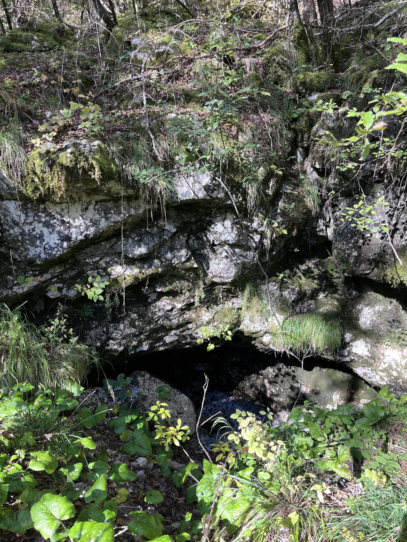 Grotta di Tolmezzo