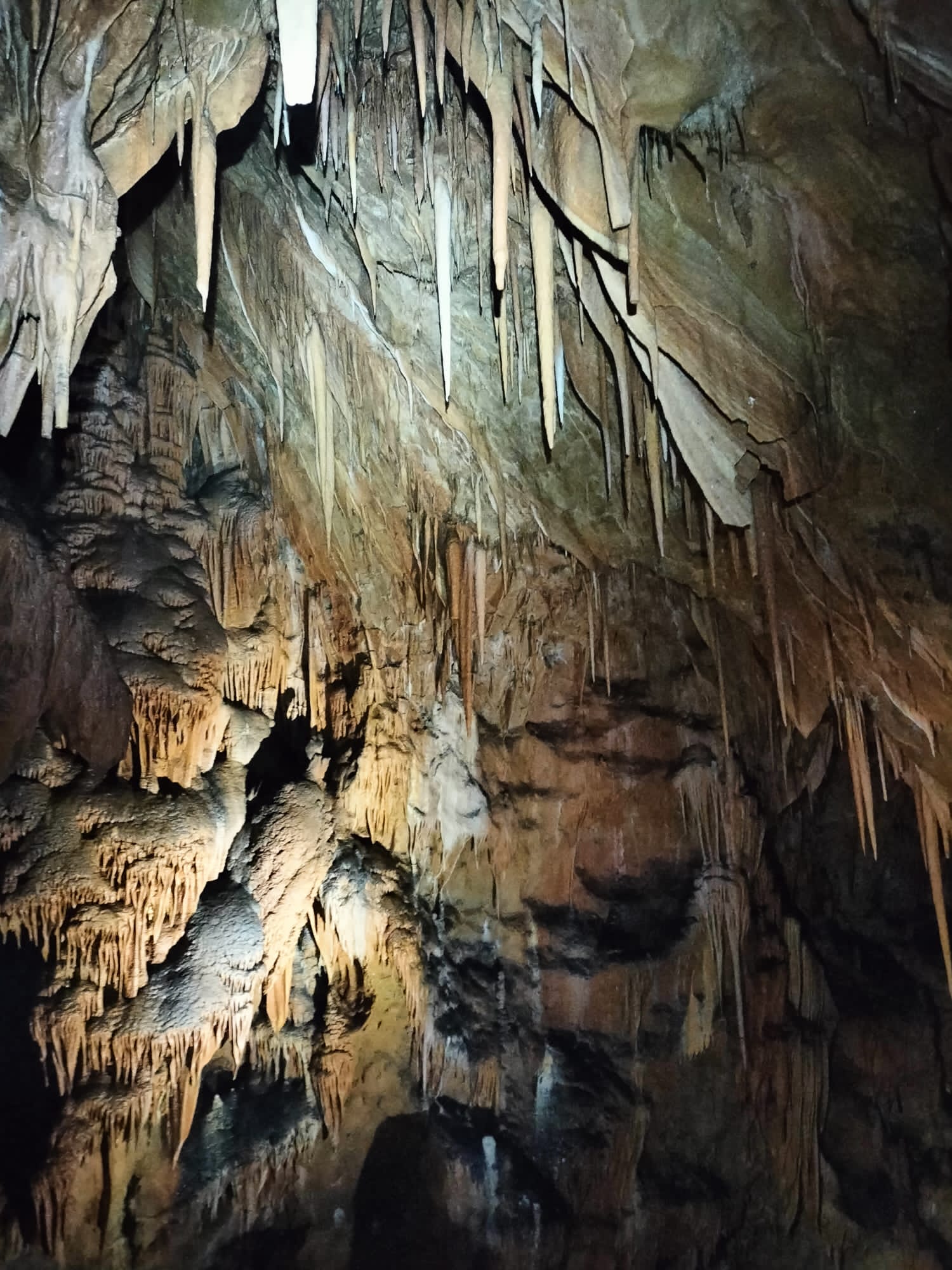 Grotte del Carso triestino