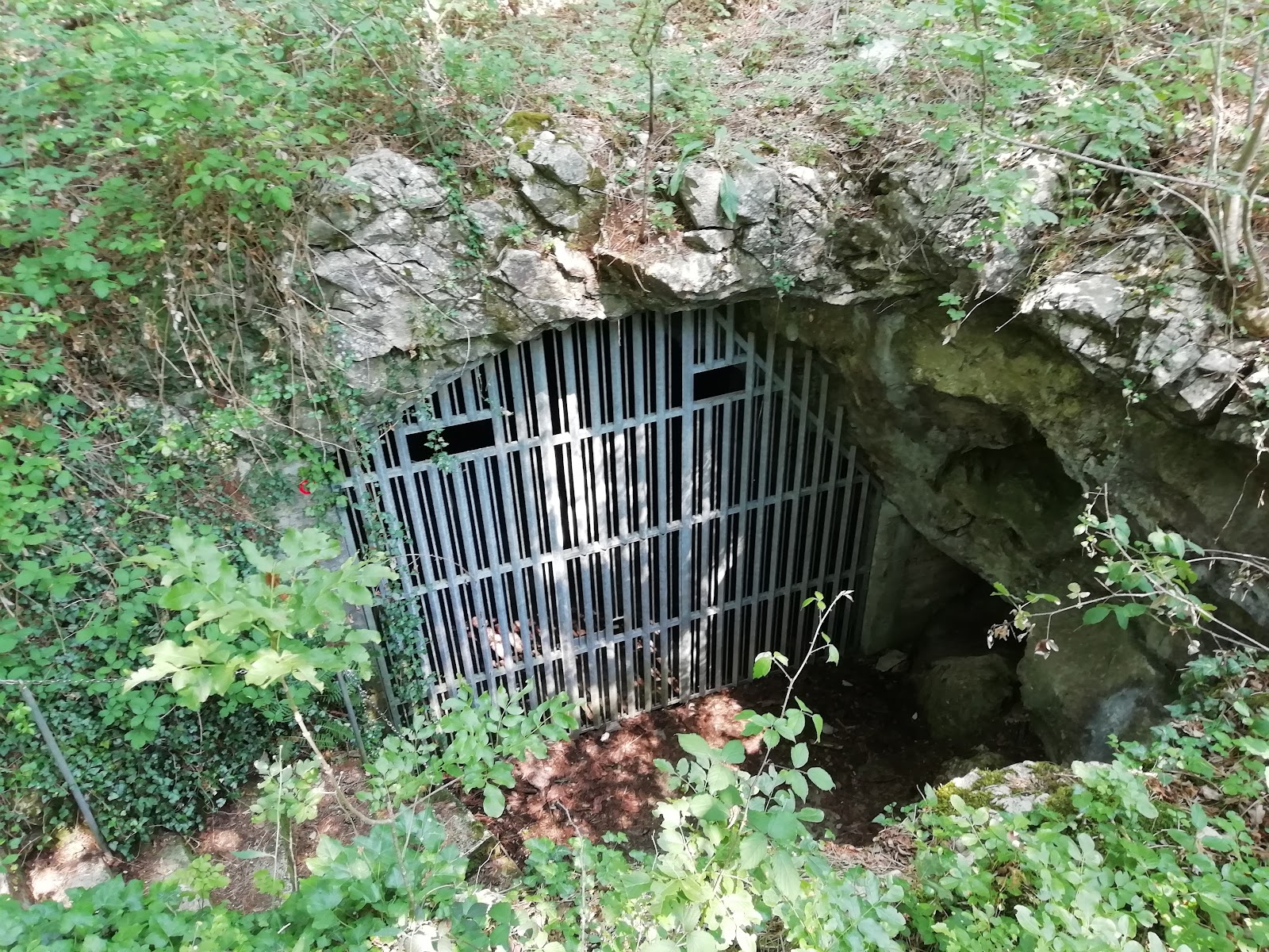 Grotte del Carso triestino — Oficiais