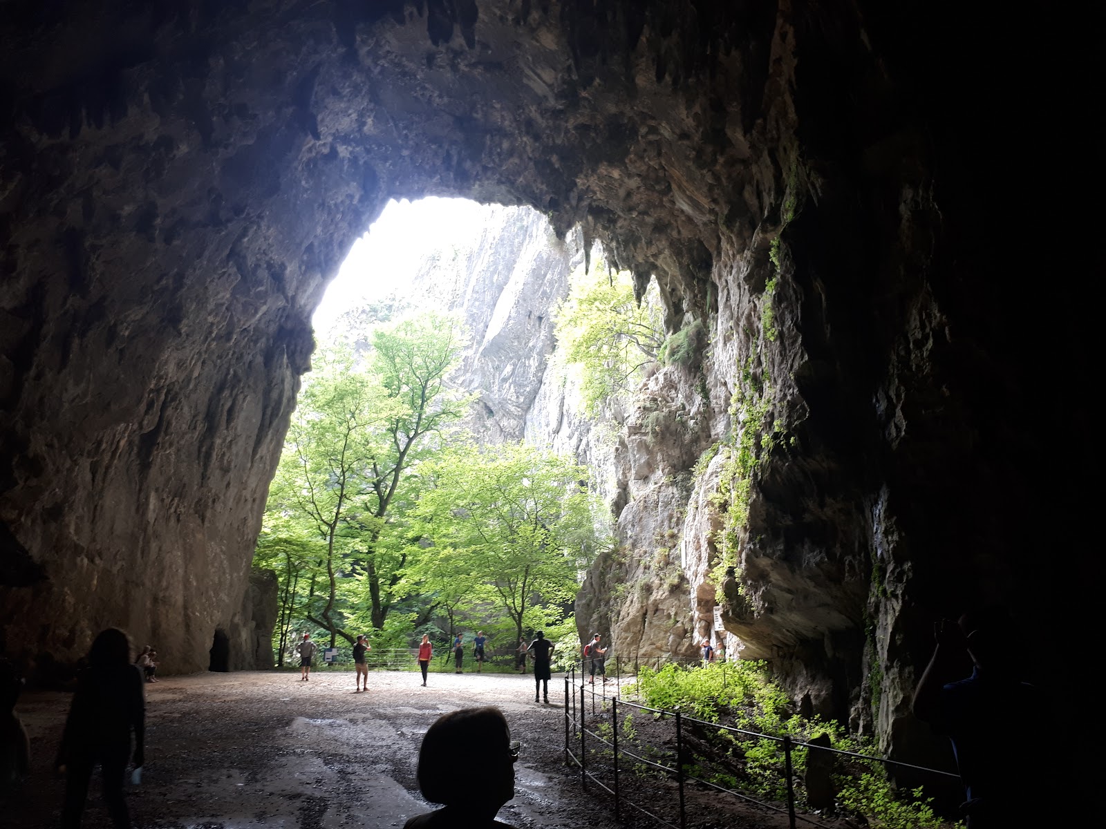 Grutas de Škocjan — Oficiais