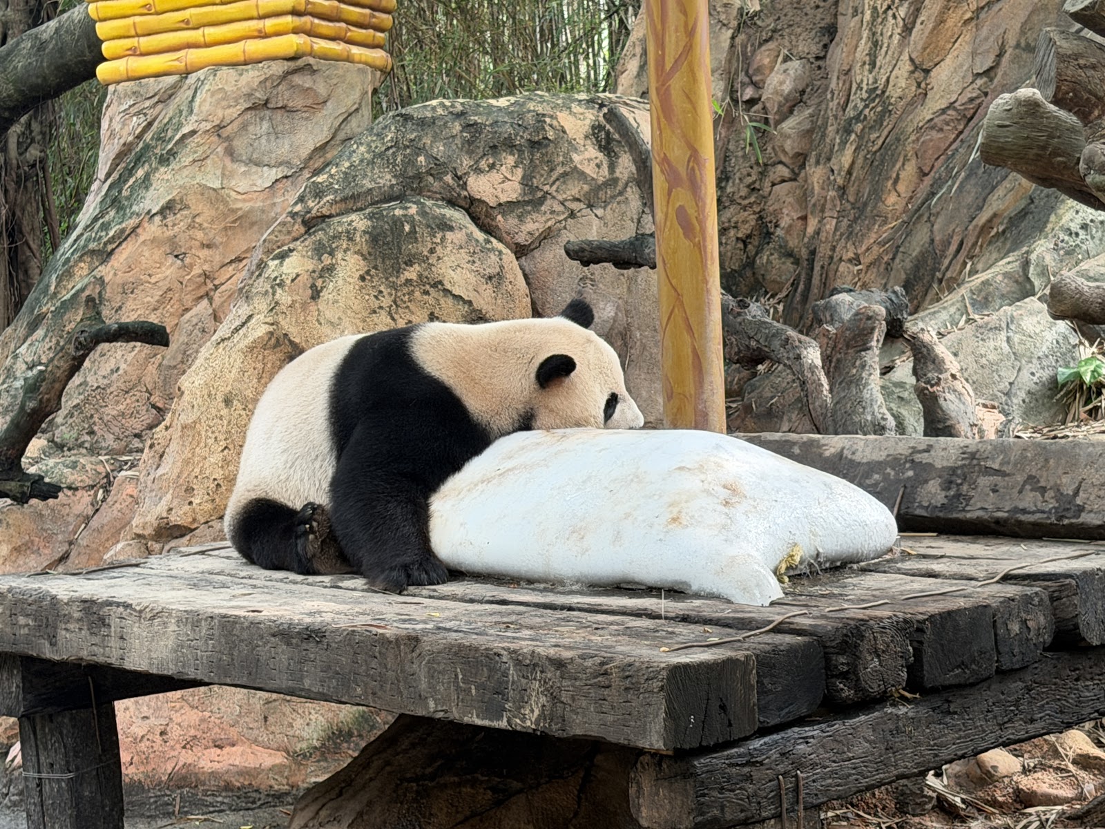 Guangzhou Chimelong Safari Park （Main Gate） — Oficiais