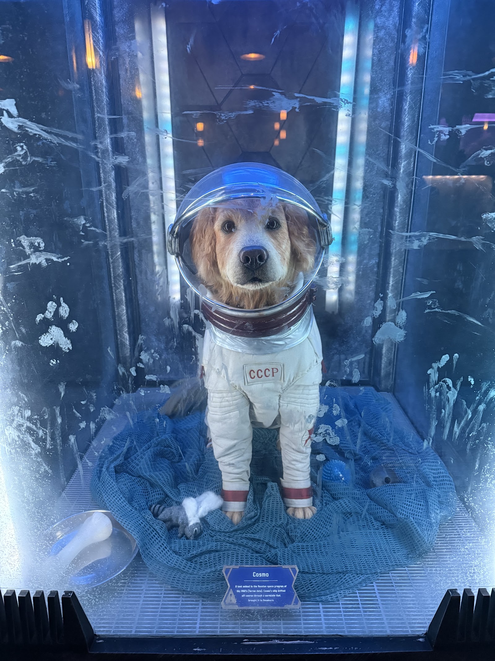 Guardians of the Galaxy – Mission: Breakout! — Oficiais