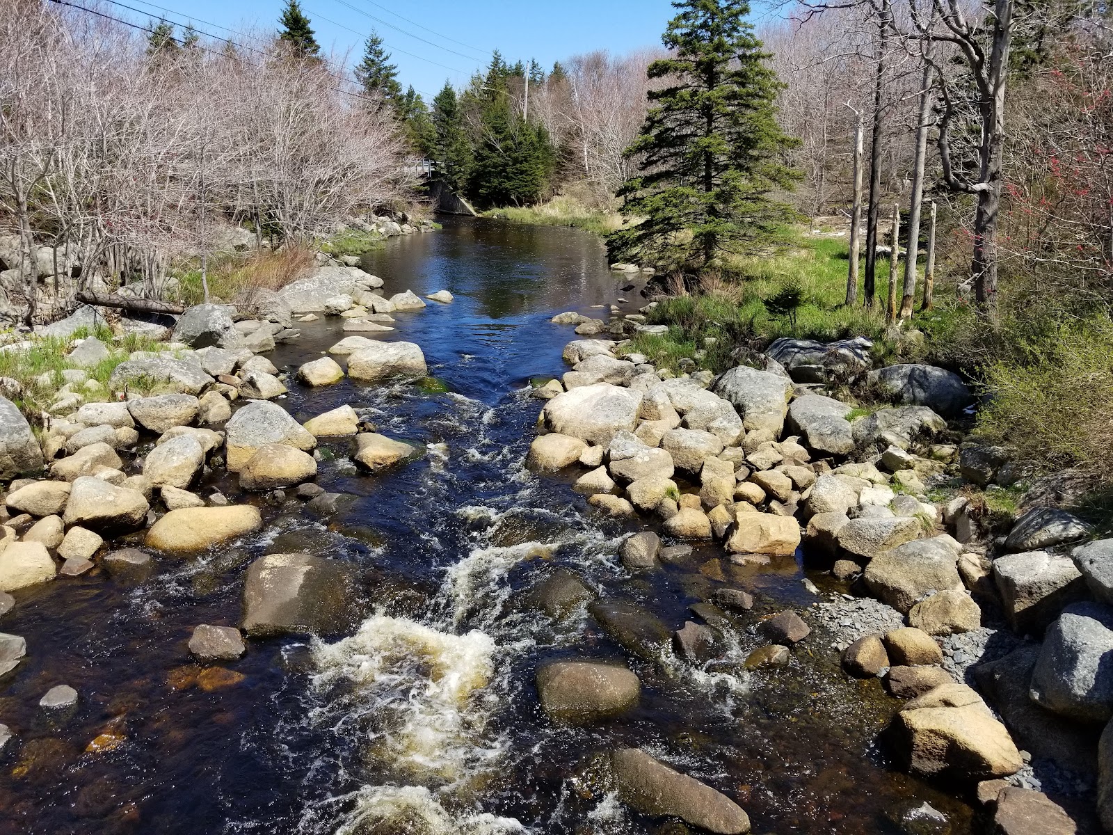 Herring Cove — Oficiais