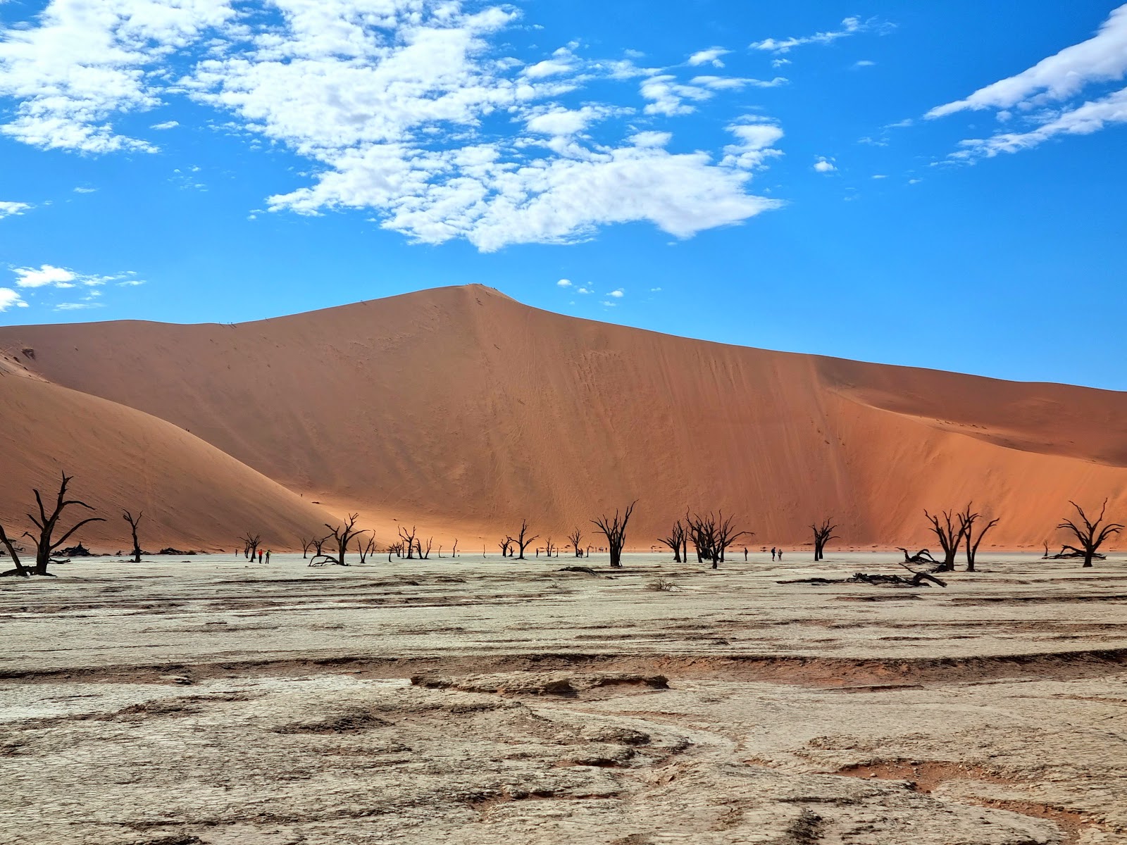Hidden Vlei