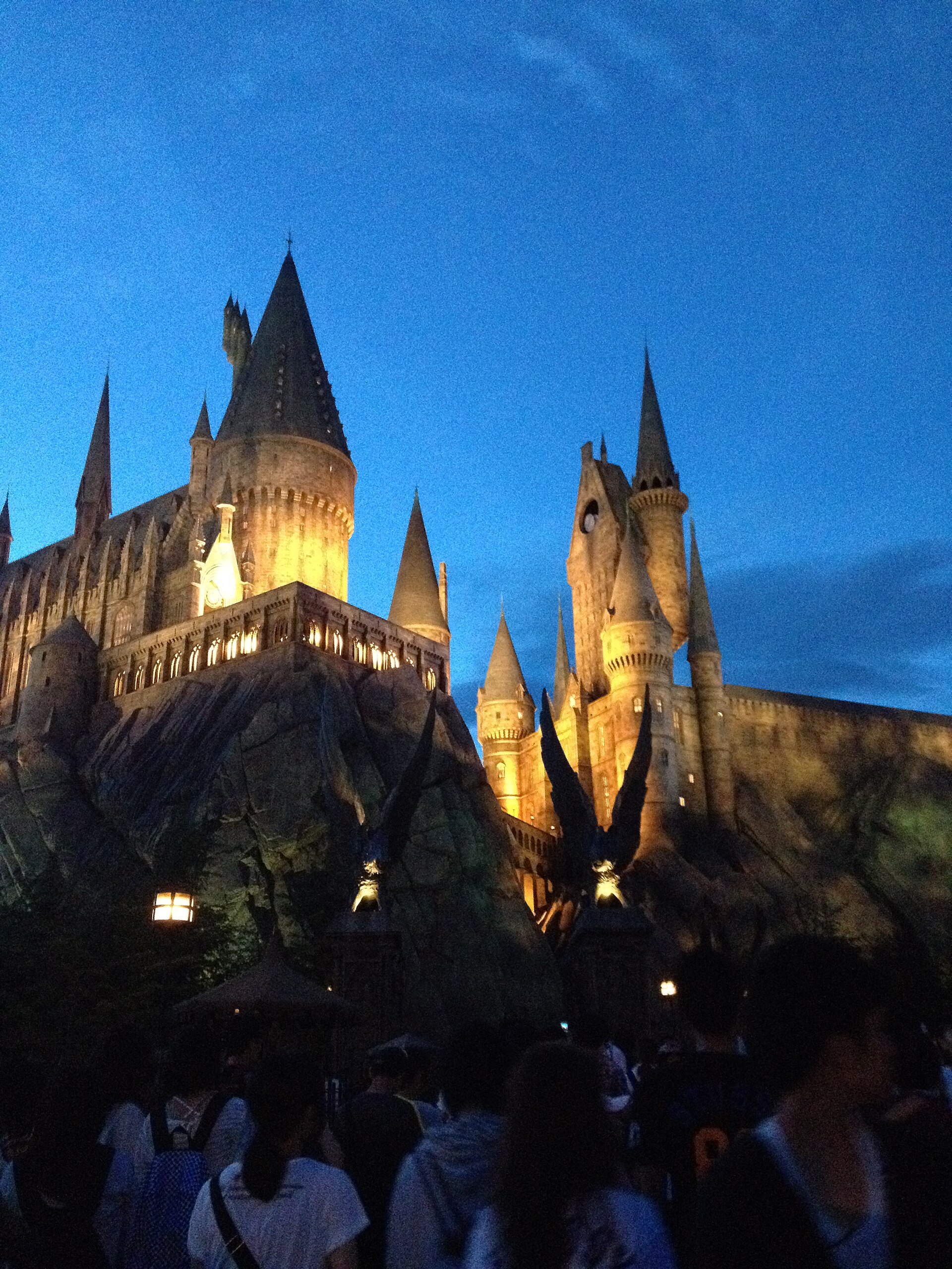 Hippogriff Magical Lesson