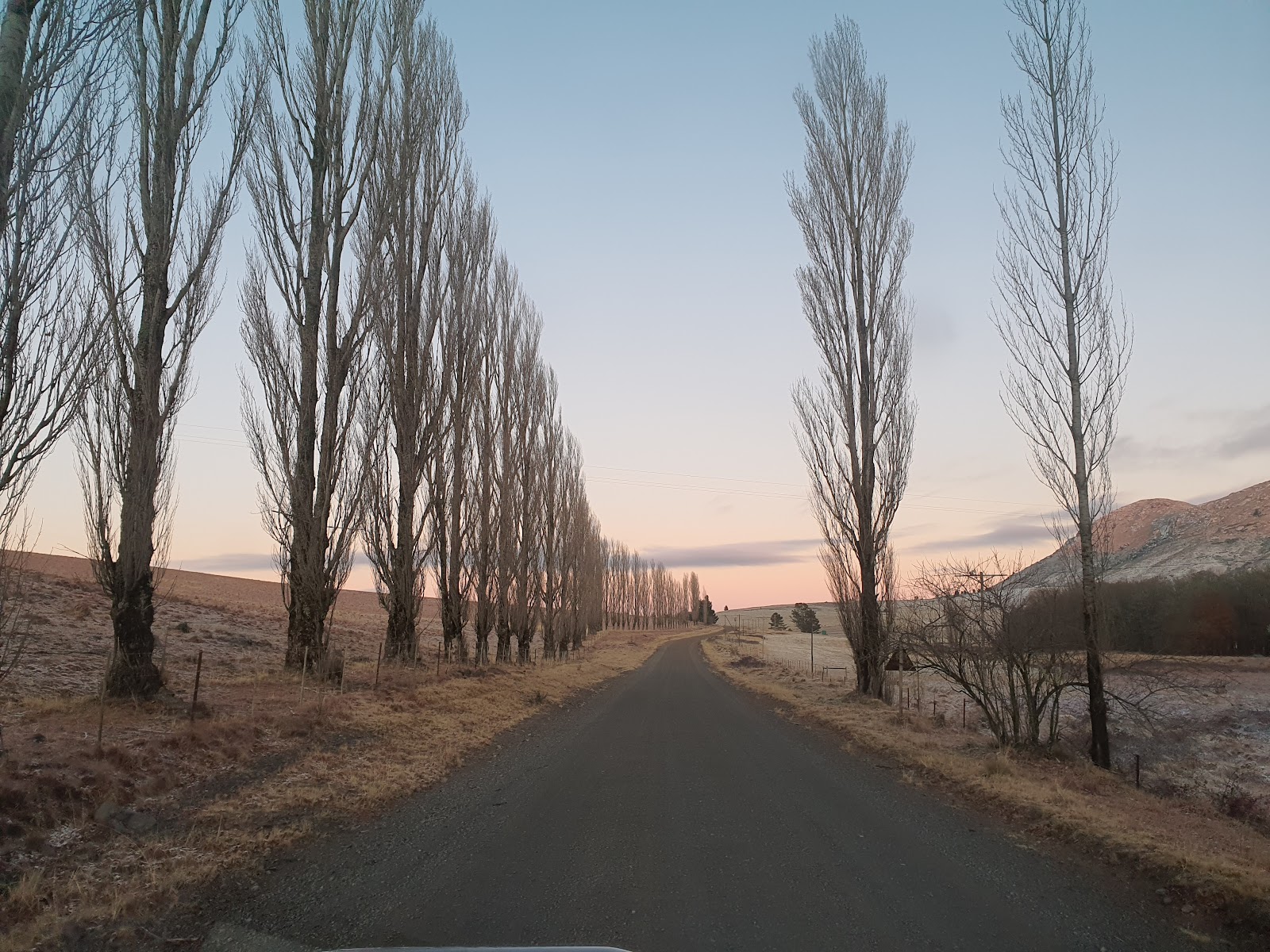 Hogsback — Oficiais