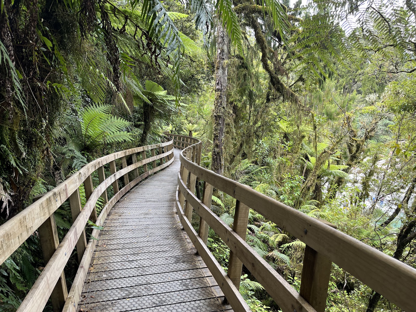 Hokitika Gorge — Oficiais