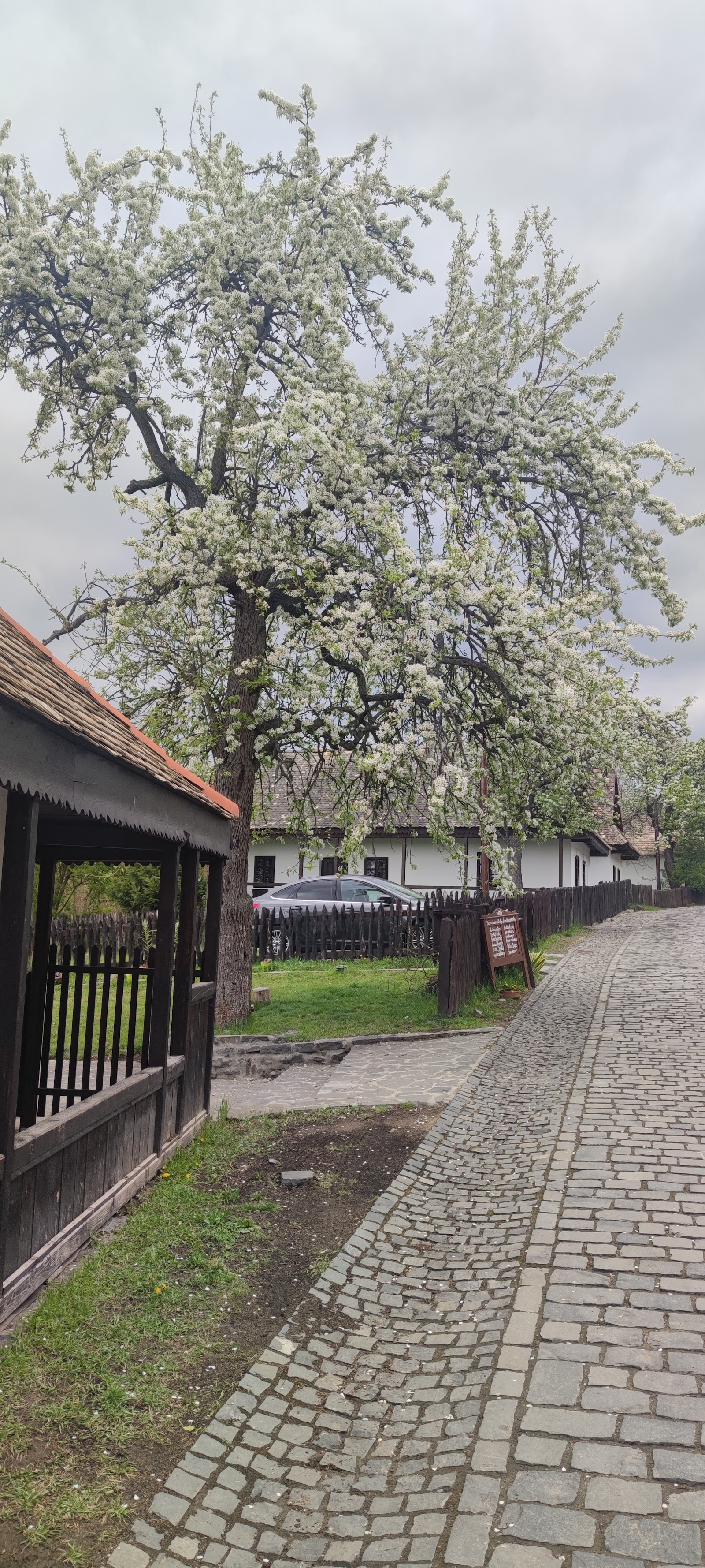 Hollókő — Oficiais