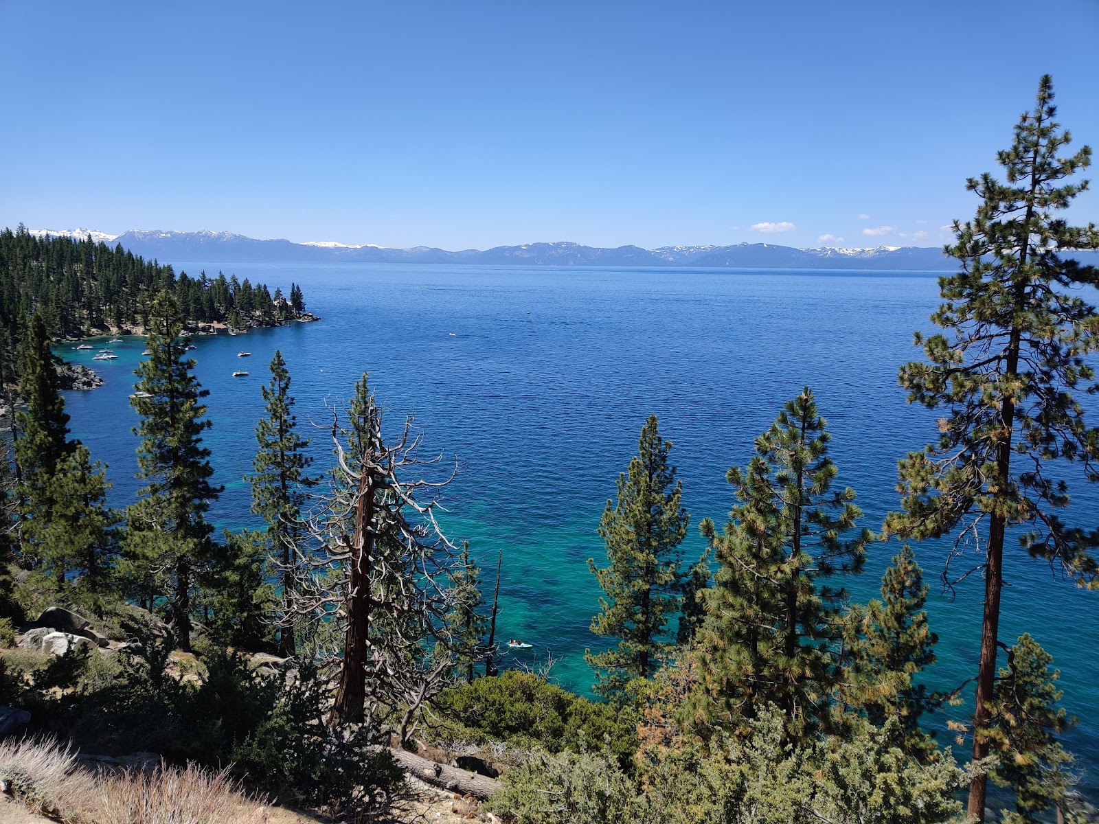 Humboldt-Toiyabe National Forest — Oficiais