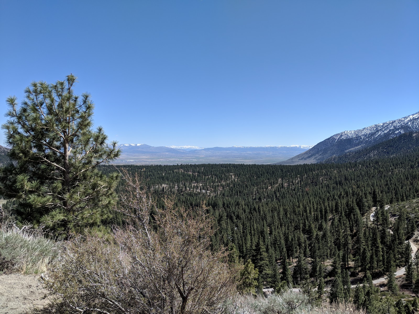Humboldt-Toiyabe National Forest — Oficiais