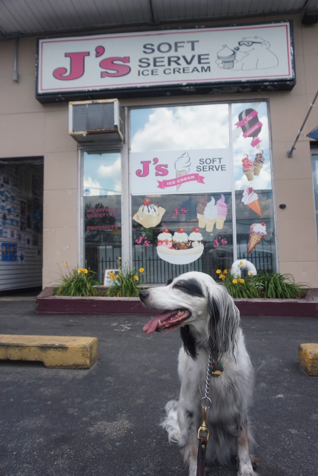Ice Cream Shop