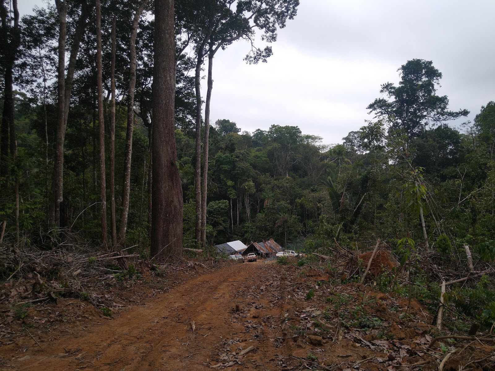 Igarapés da Floresta Nacional de Altamira