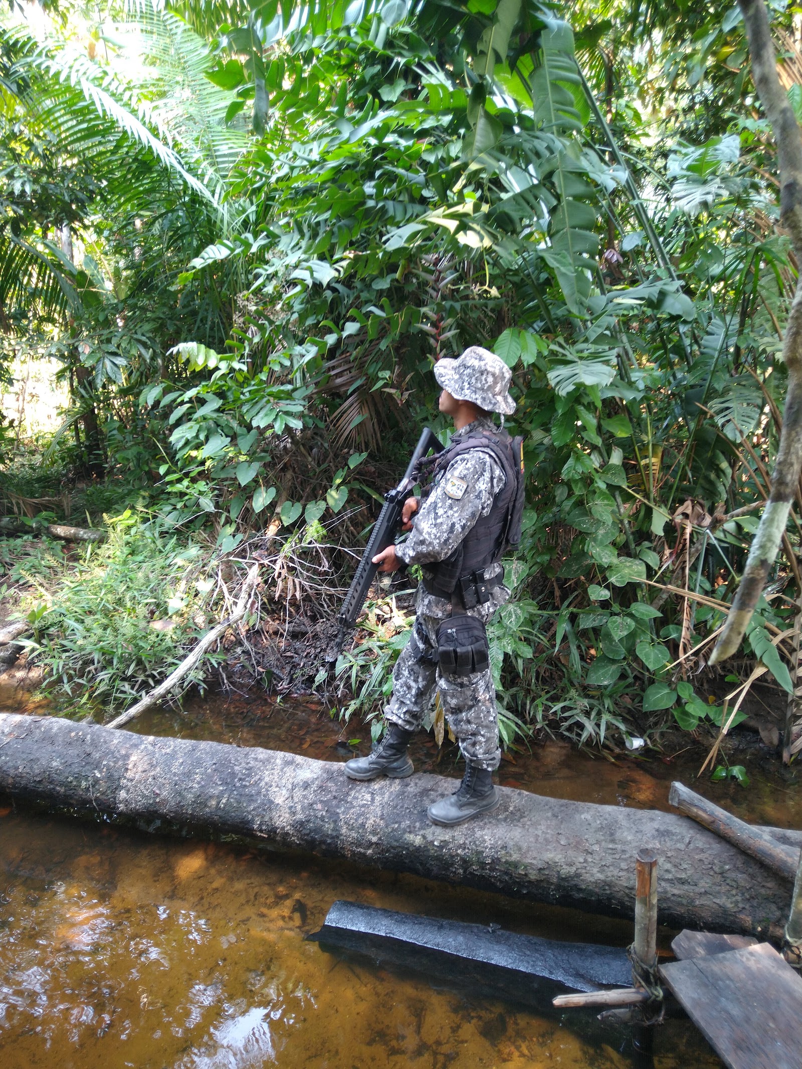 Igarapés da Floresta Nacional de Altamira — Oficiais