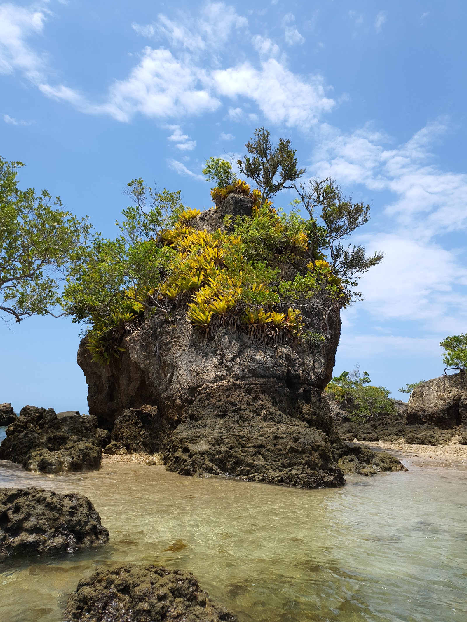 Ilha de Pedra Furada — Oficiais