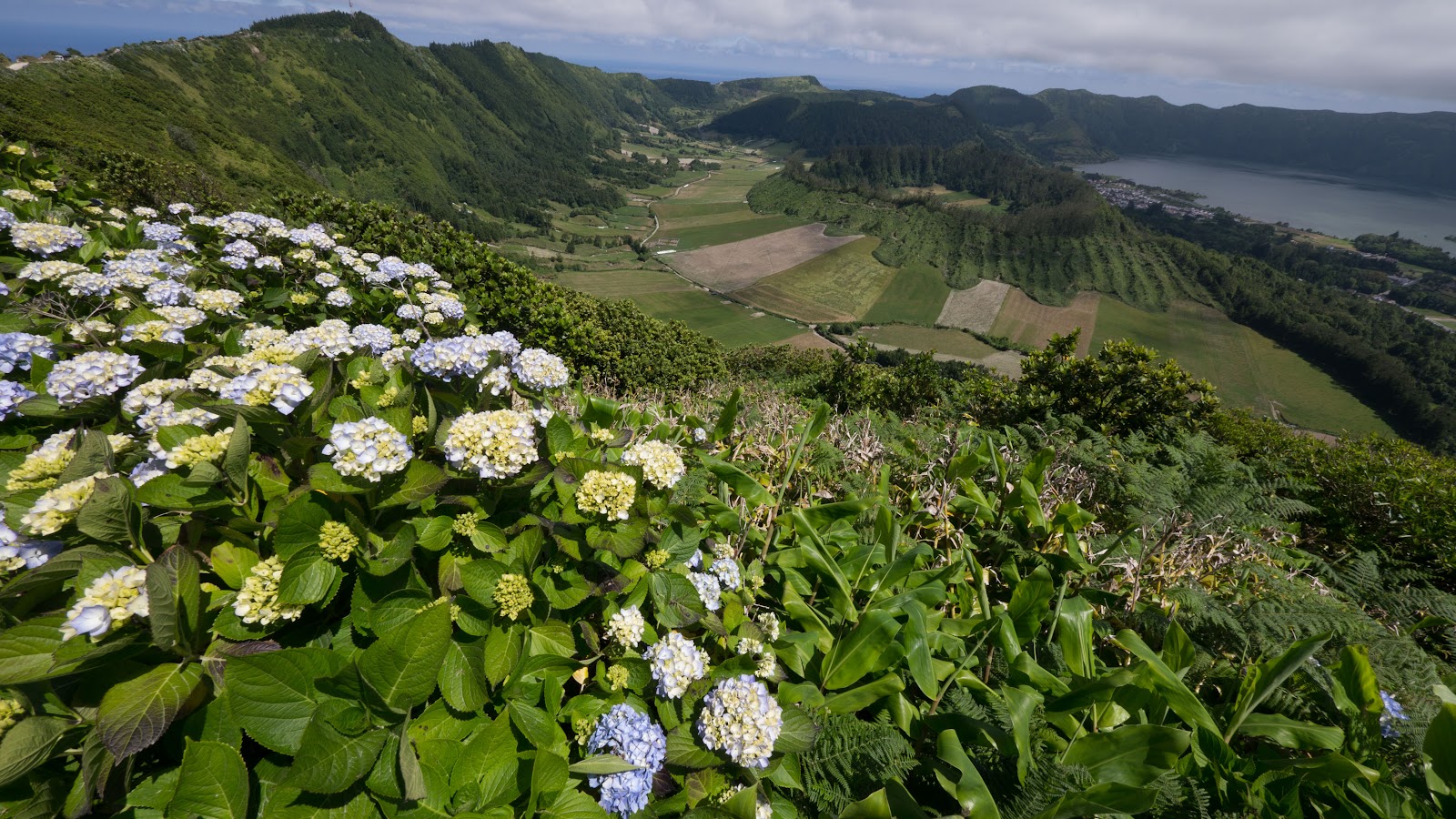 Ilha de São Miguel — Oficiais
