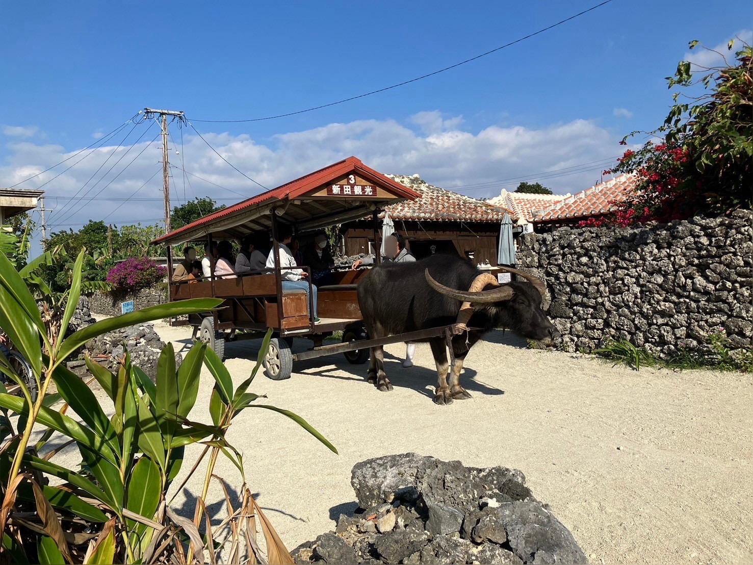 Ilha de Taketomi — Oficiais
