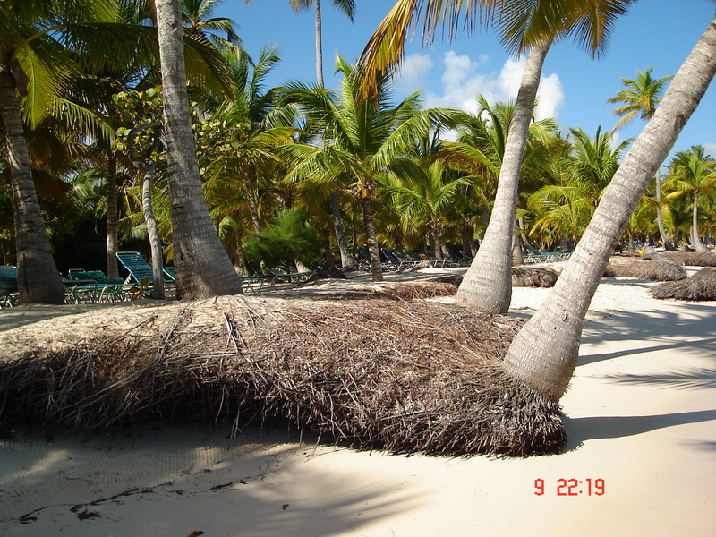 Indigenous Eyes Ecological Park and Reserve