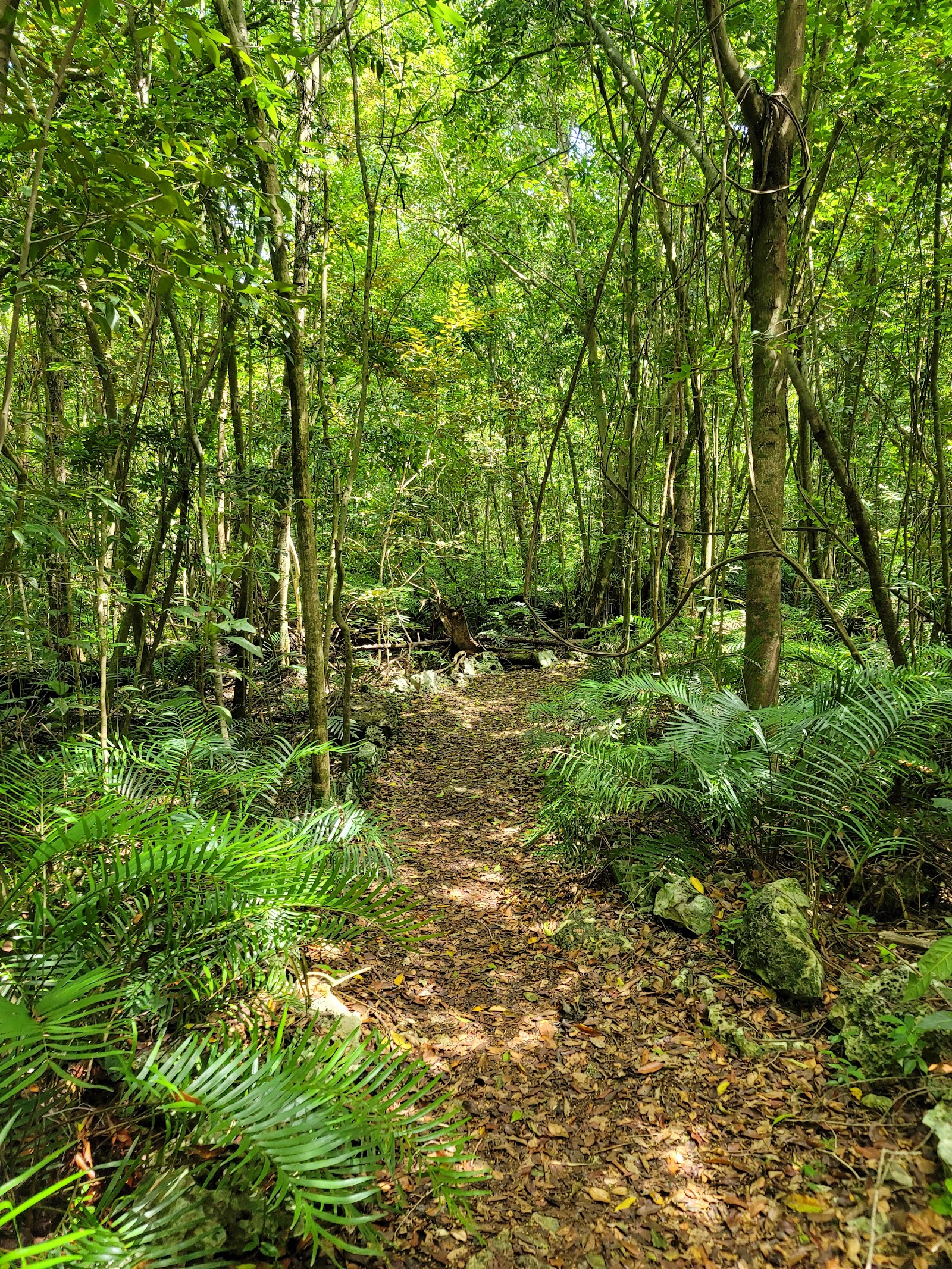 Indigenous Eyes Ecological Reserve — Oficiais