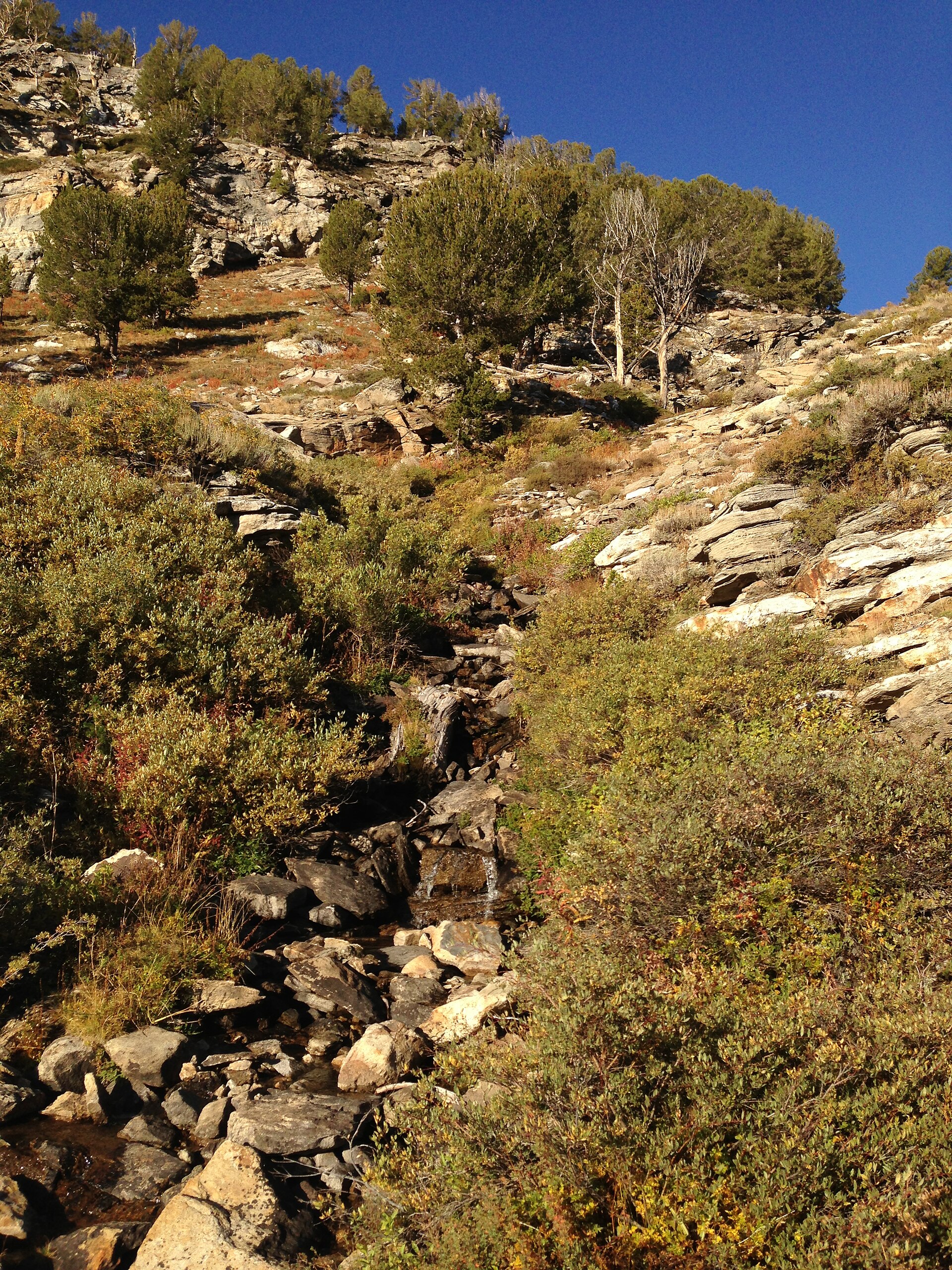 Island Lake Trail
