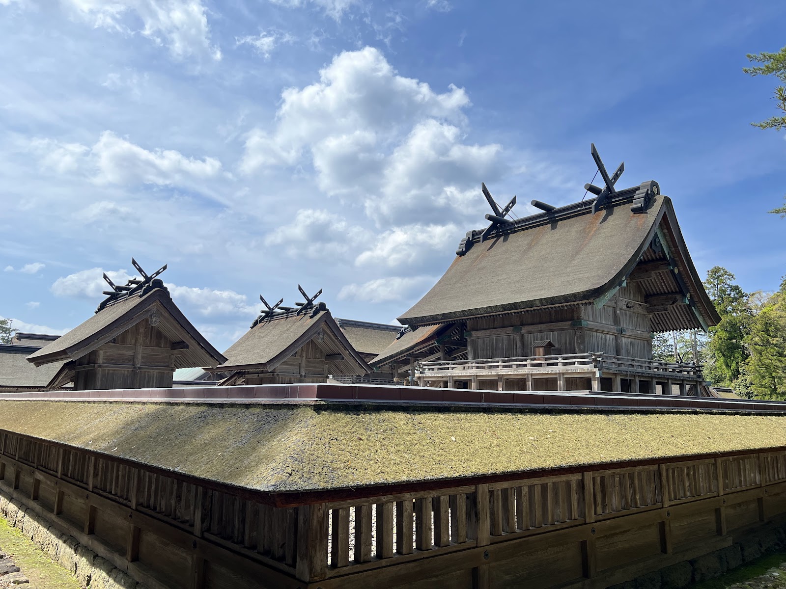 Izumo Taisha — Oficiais