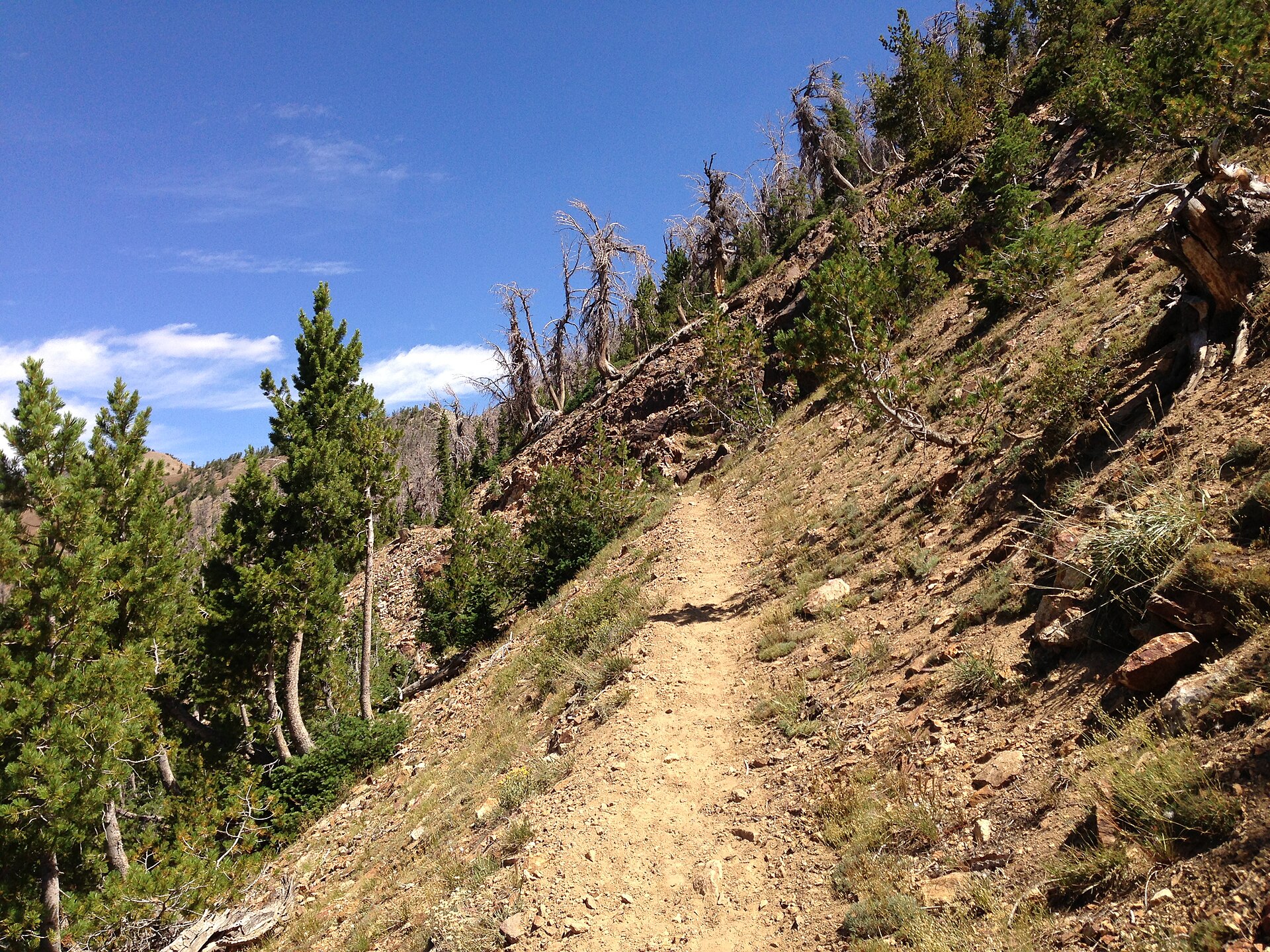 Jarbidge Lake