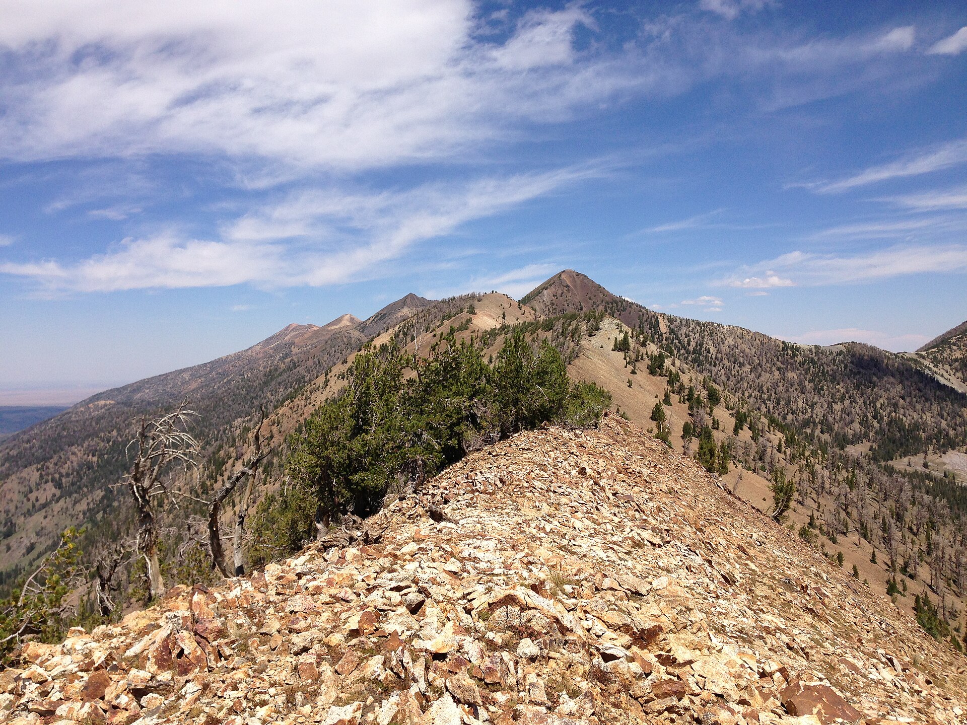 Jarbidge Peak
