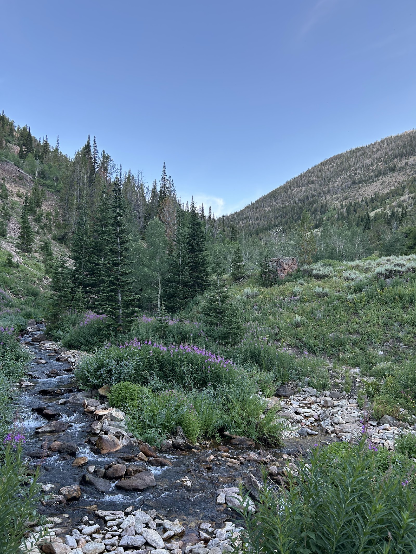 Jarbidge Wilderness
