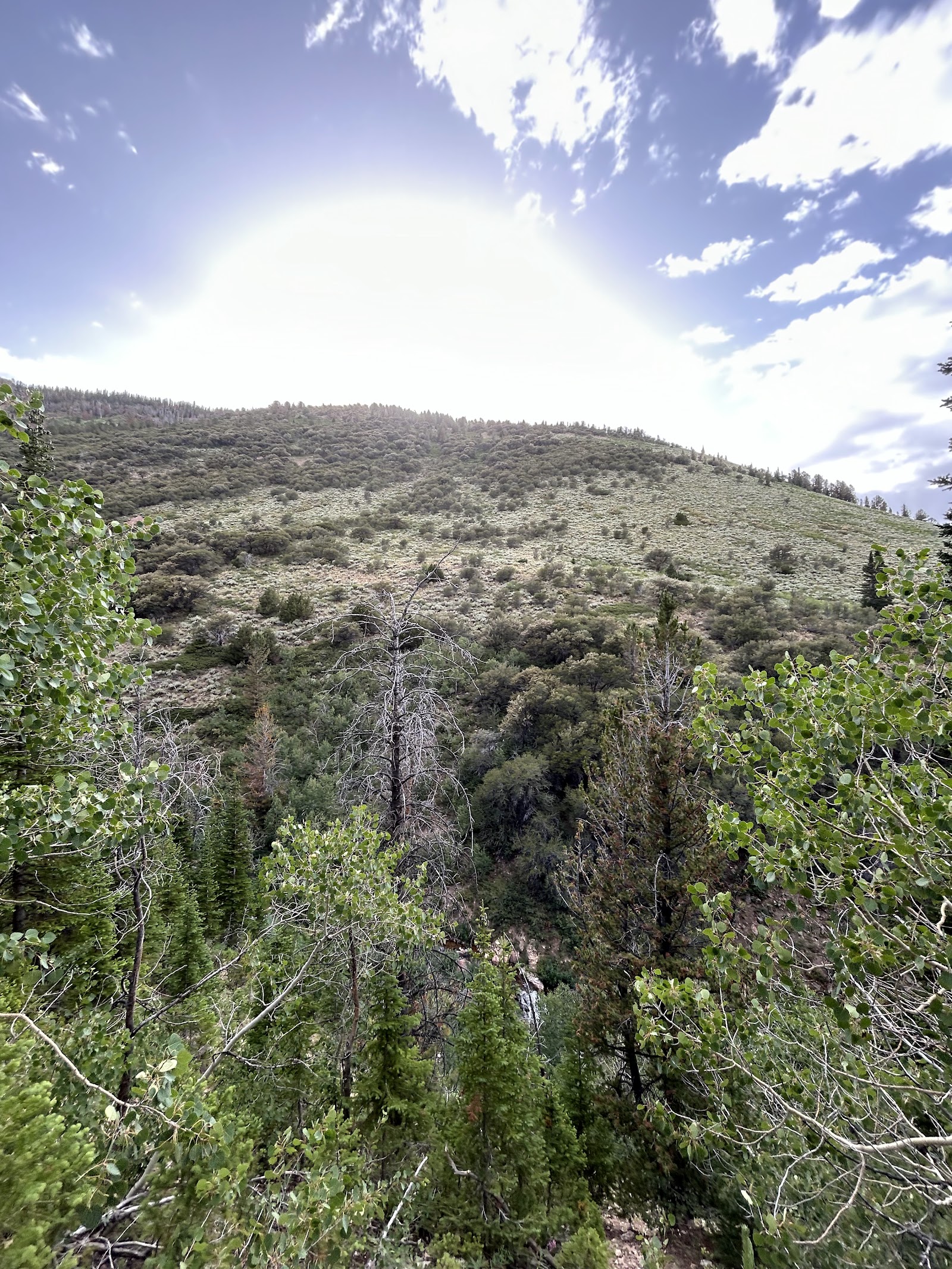 Jarbidge Wilderness — Oficiais