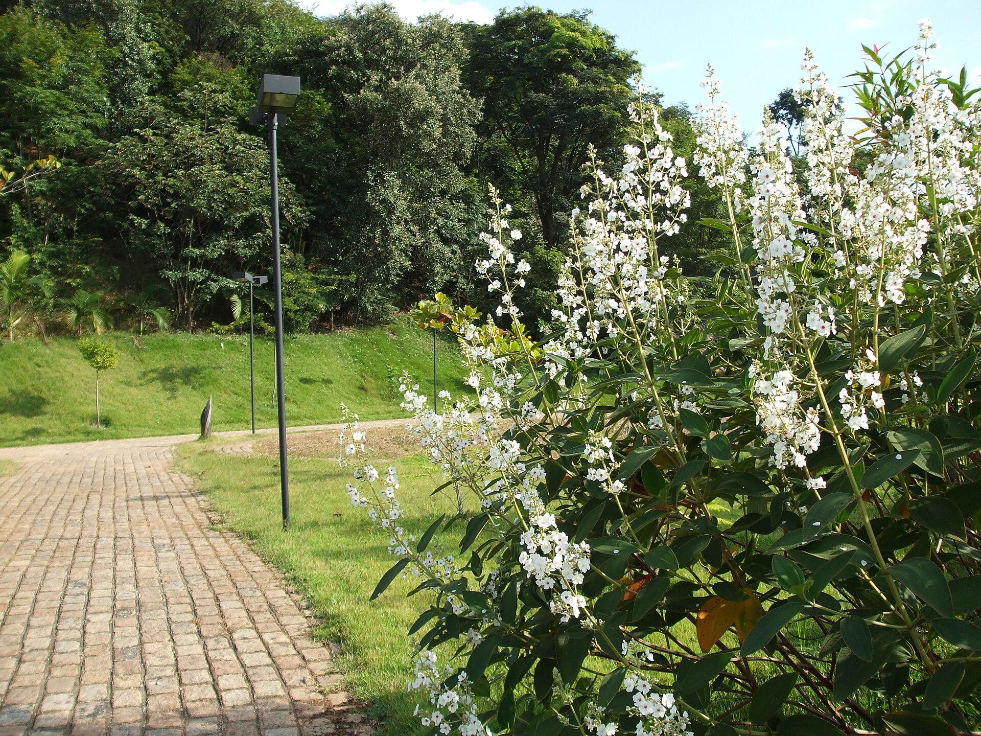 Jardim Botânico de Jundiaí