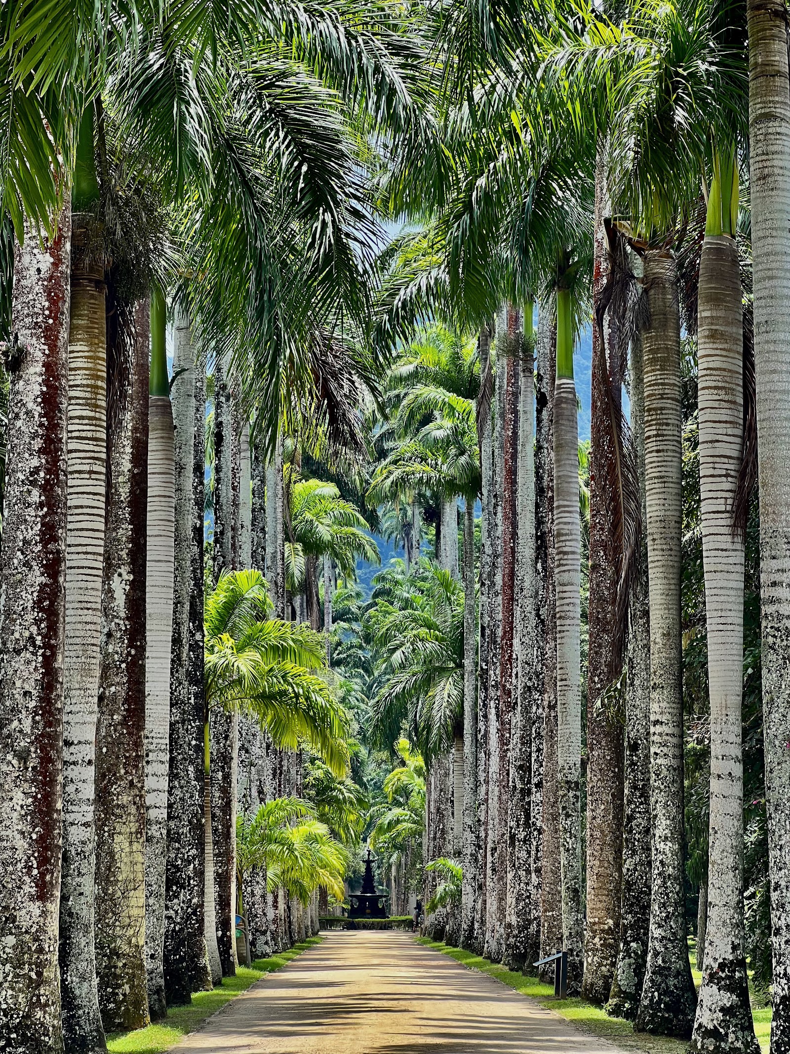 Jardim Botânico do Rio de Janeiro