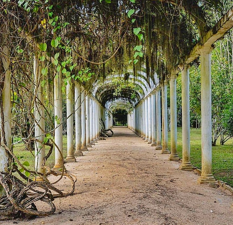 Jardim Botânico do Rio de Janeiro — Oficiais