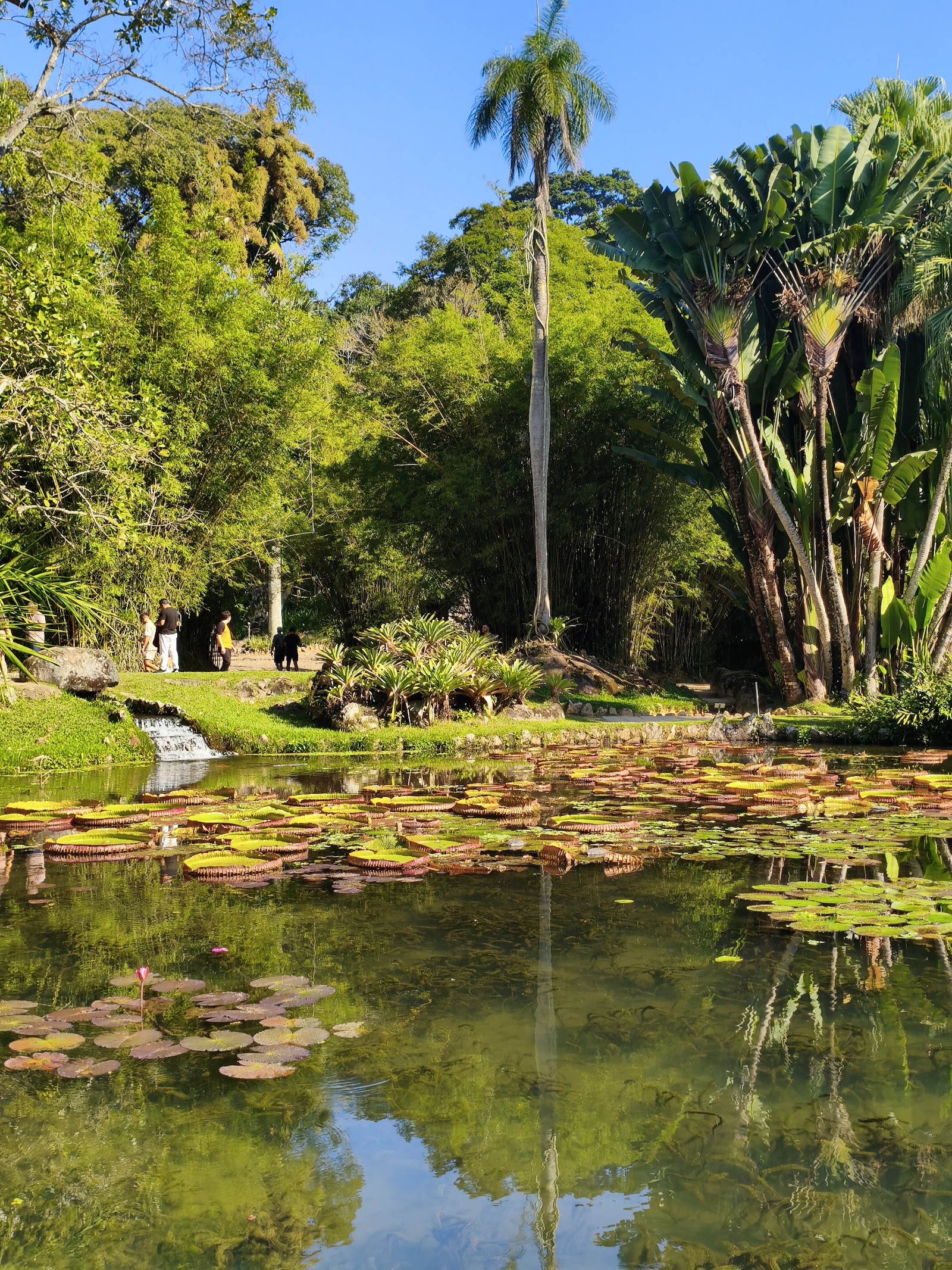 Jardim sensorial — Oficiais