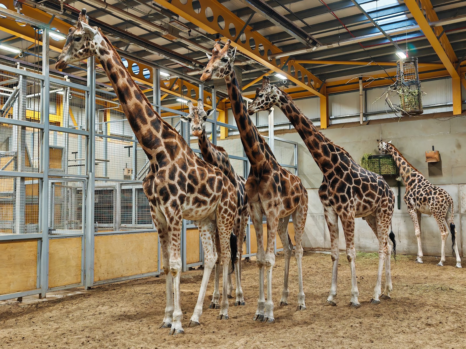 Jardim Zoológico de Edimburgo
