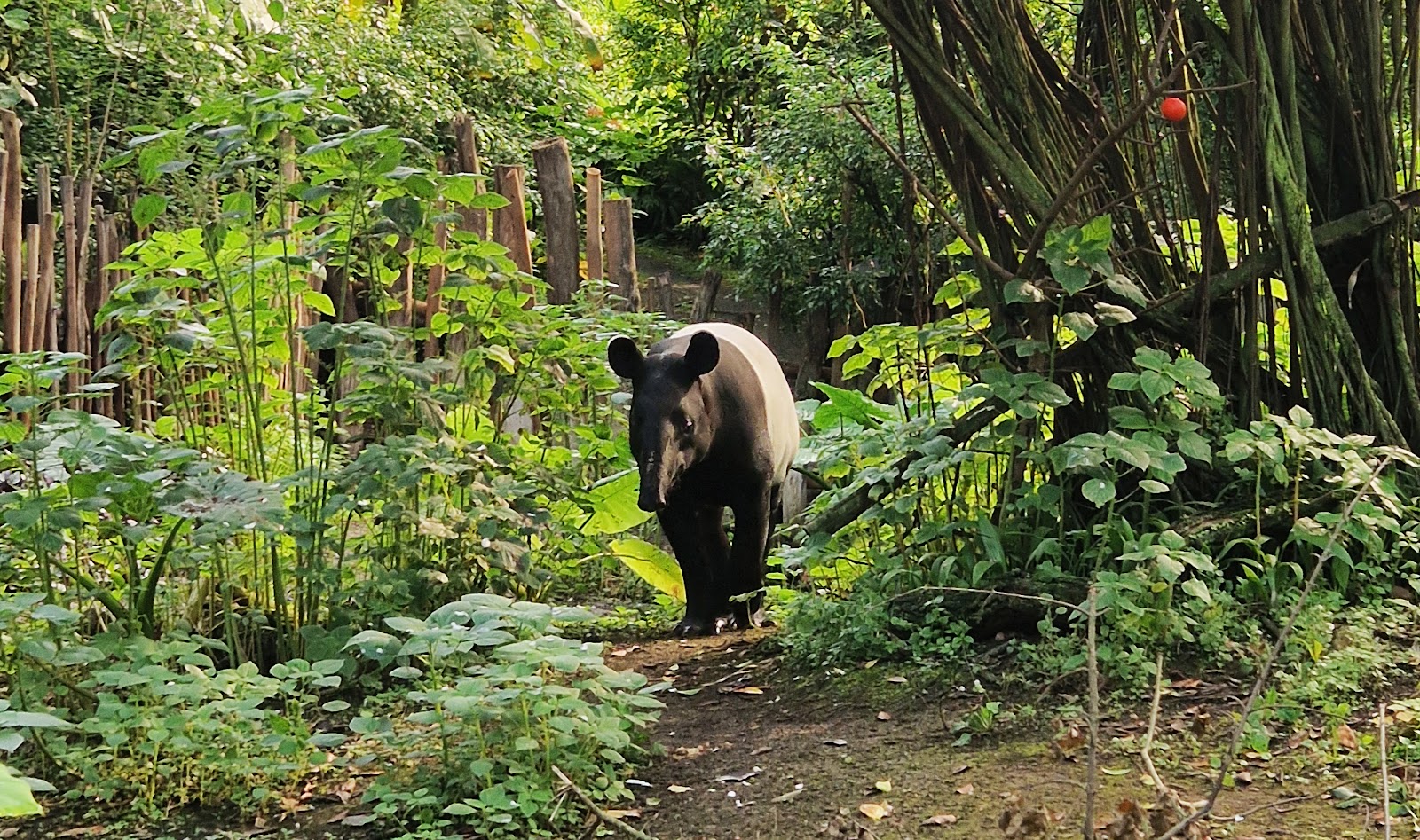 Jardim Zoológico de Leipzig