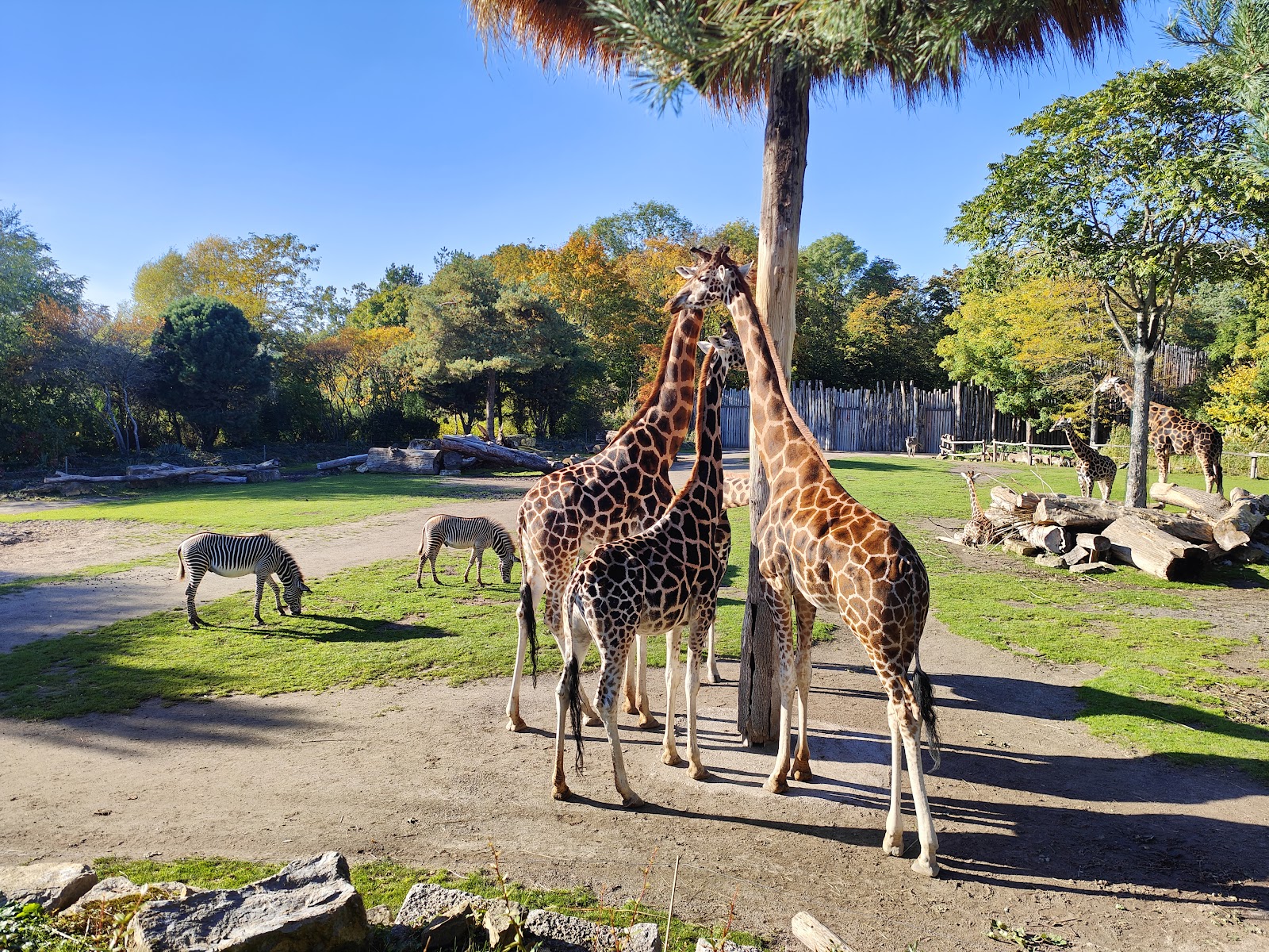 Jardim Zoológico de Leipzig — Oficiais