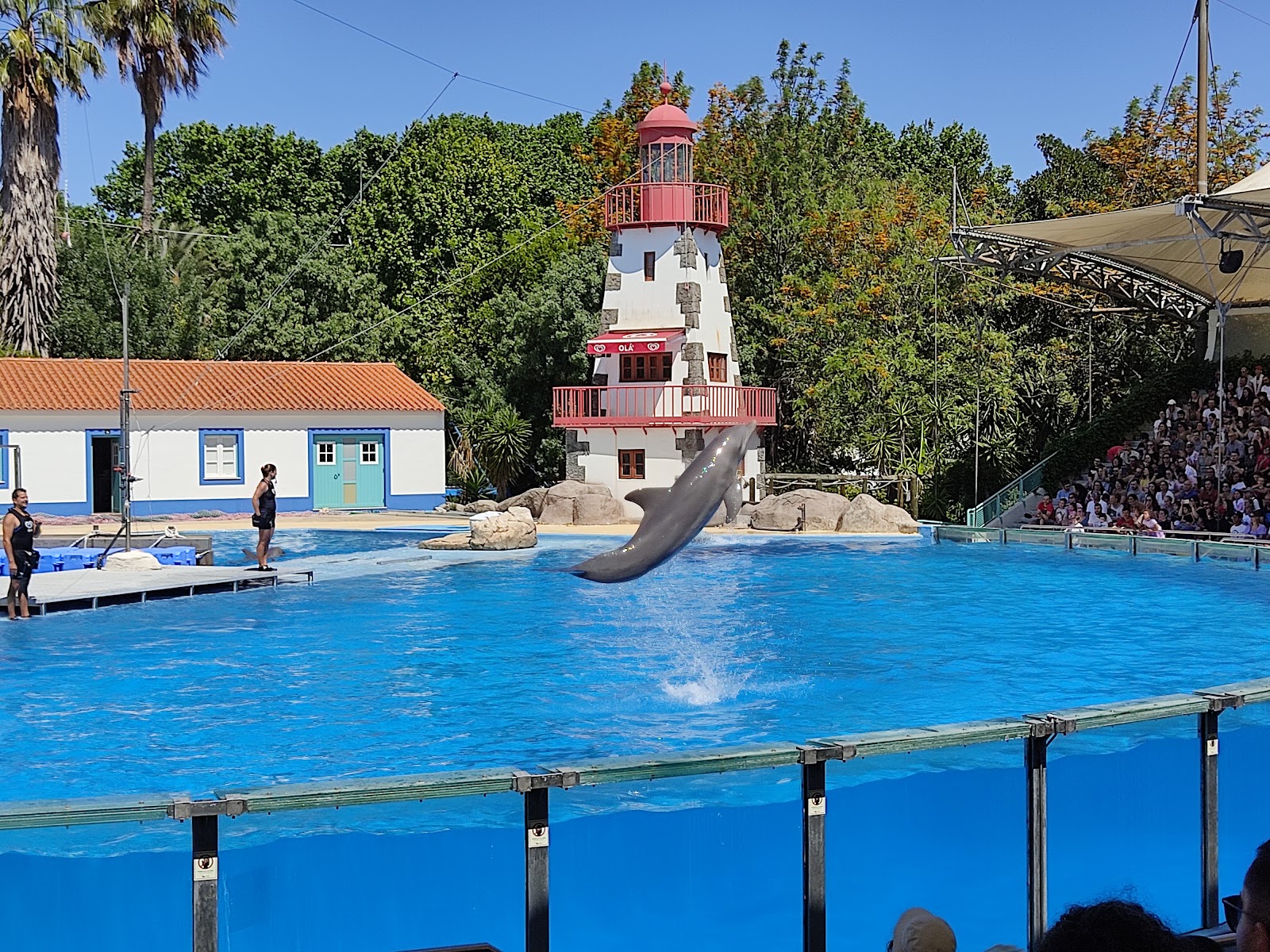 Jardim Zoológico de Lisboa — Oficiais