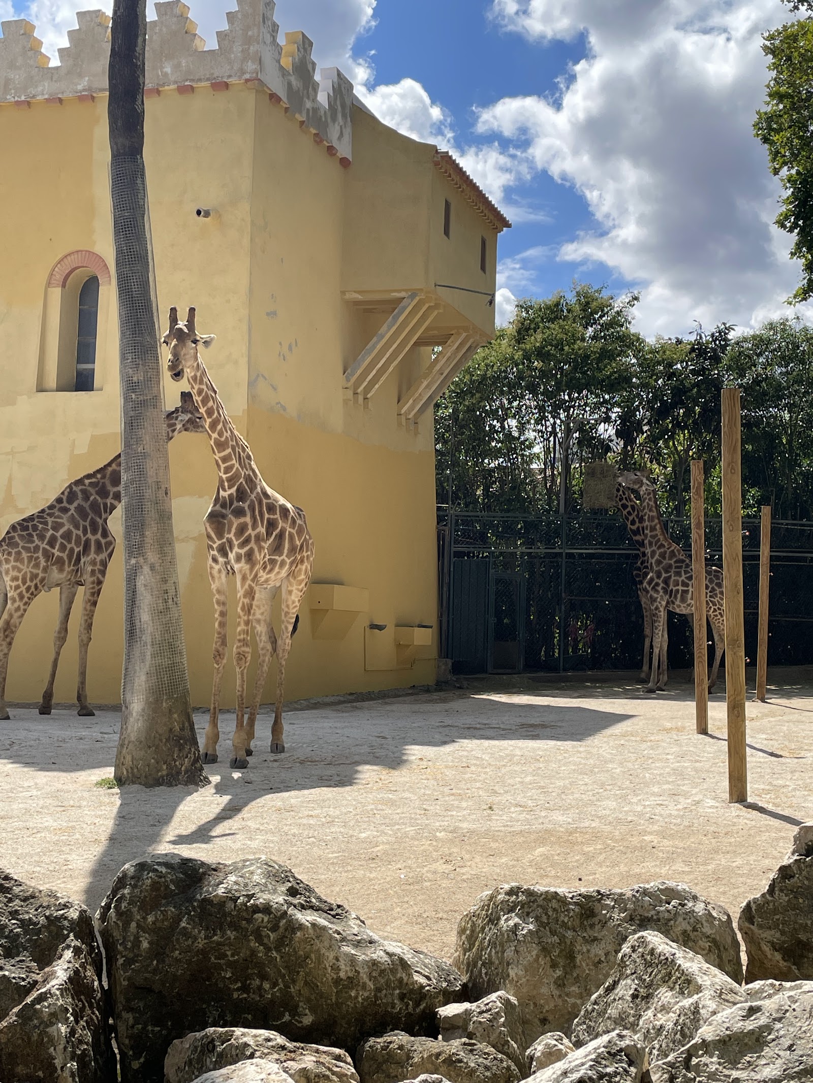 Jardim Zoológico de Lisboa — Oficiais