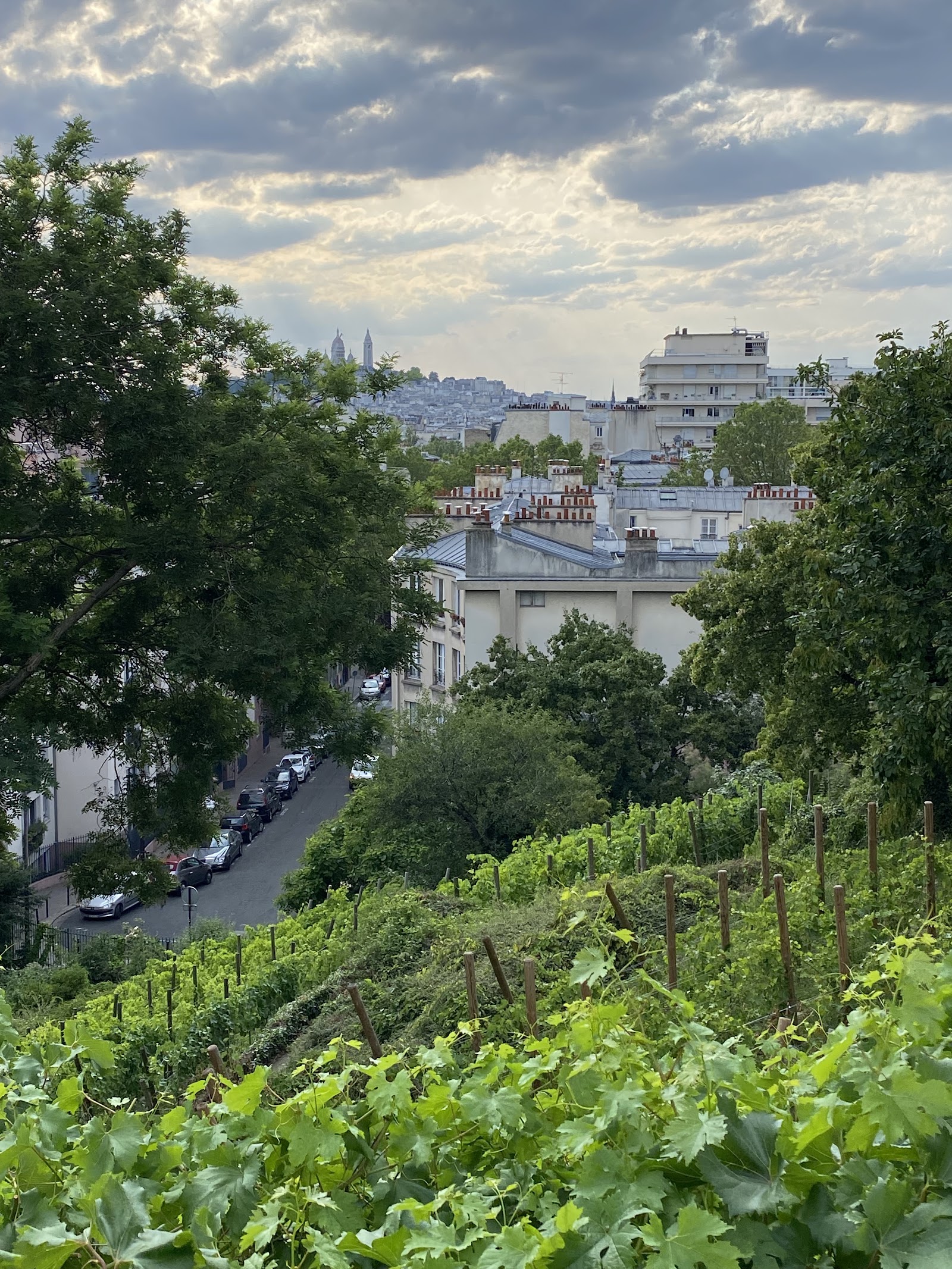 Jardin Bergeyre