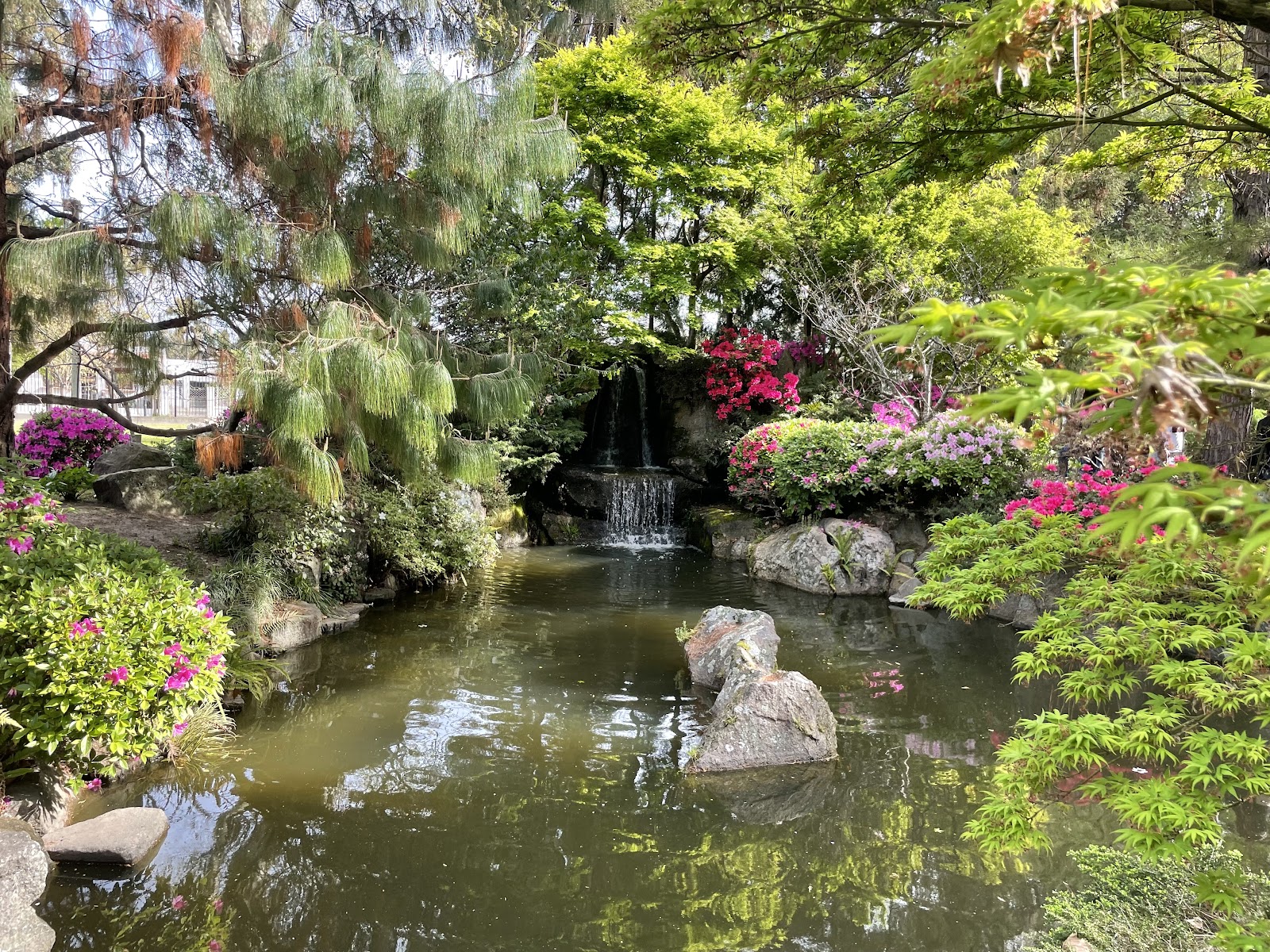 Jardín Japonés De Montevideo HEI SEI EN 平成苑 — Oficiais