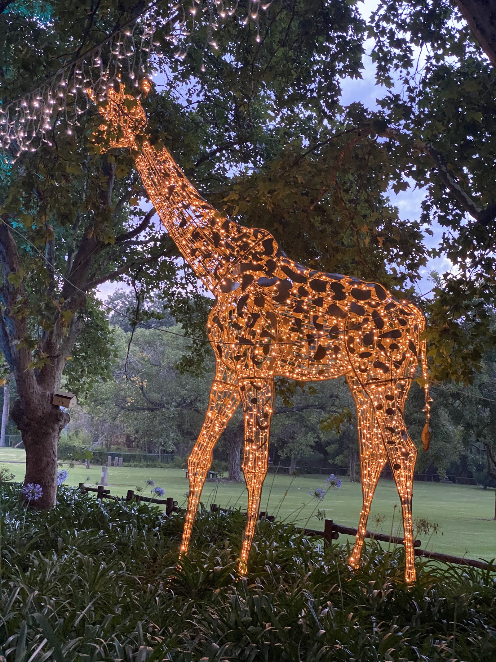 Johannesburg Zoo — Oficiais