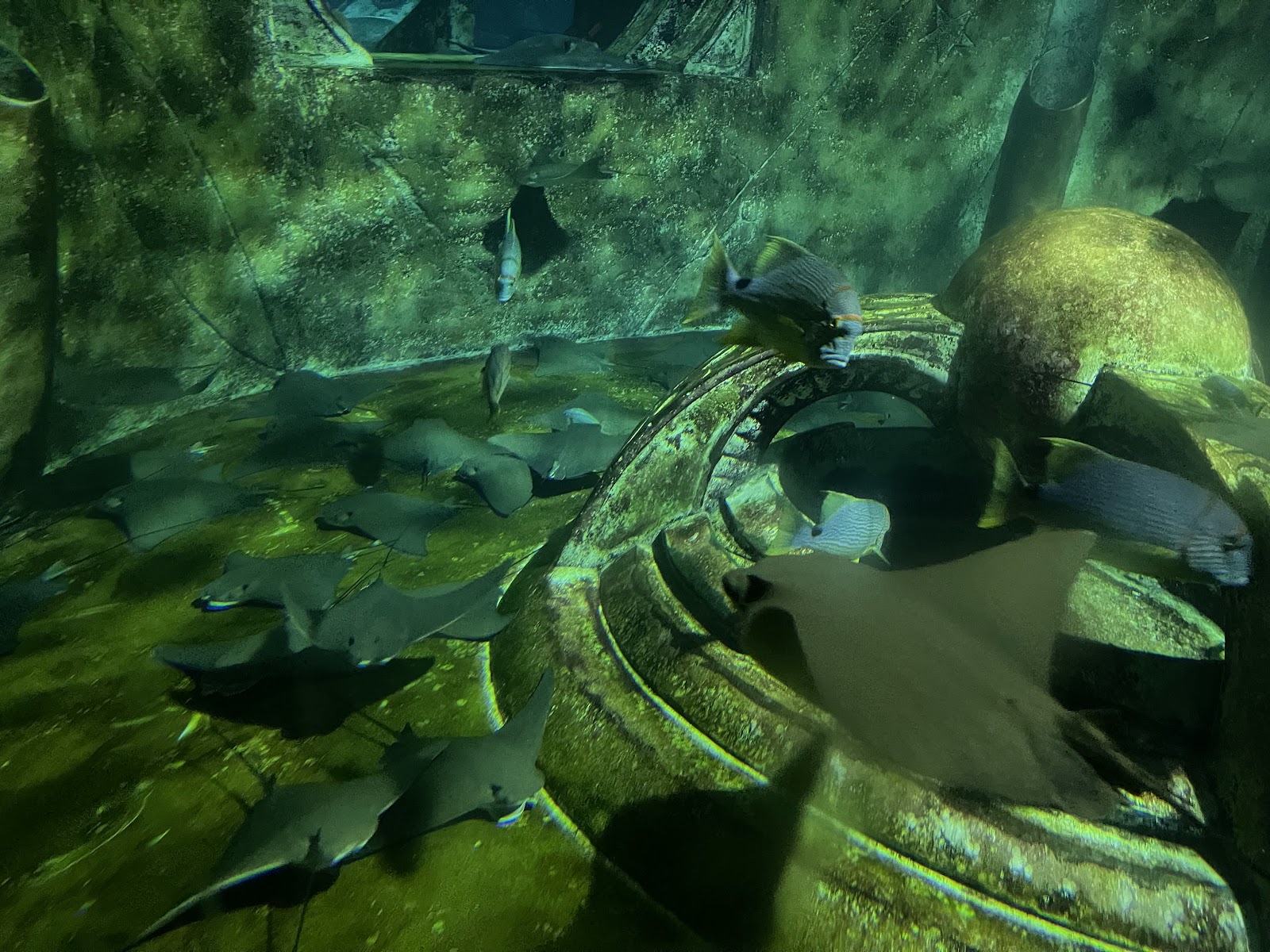 Journey to Atlantis — Oficiais