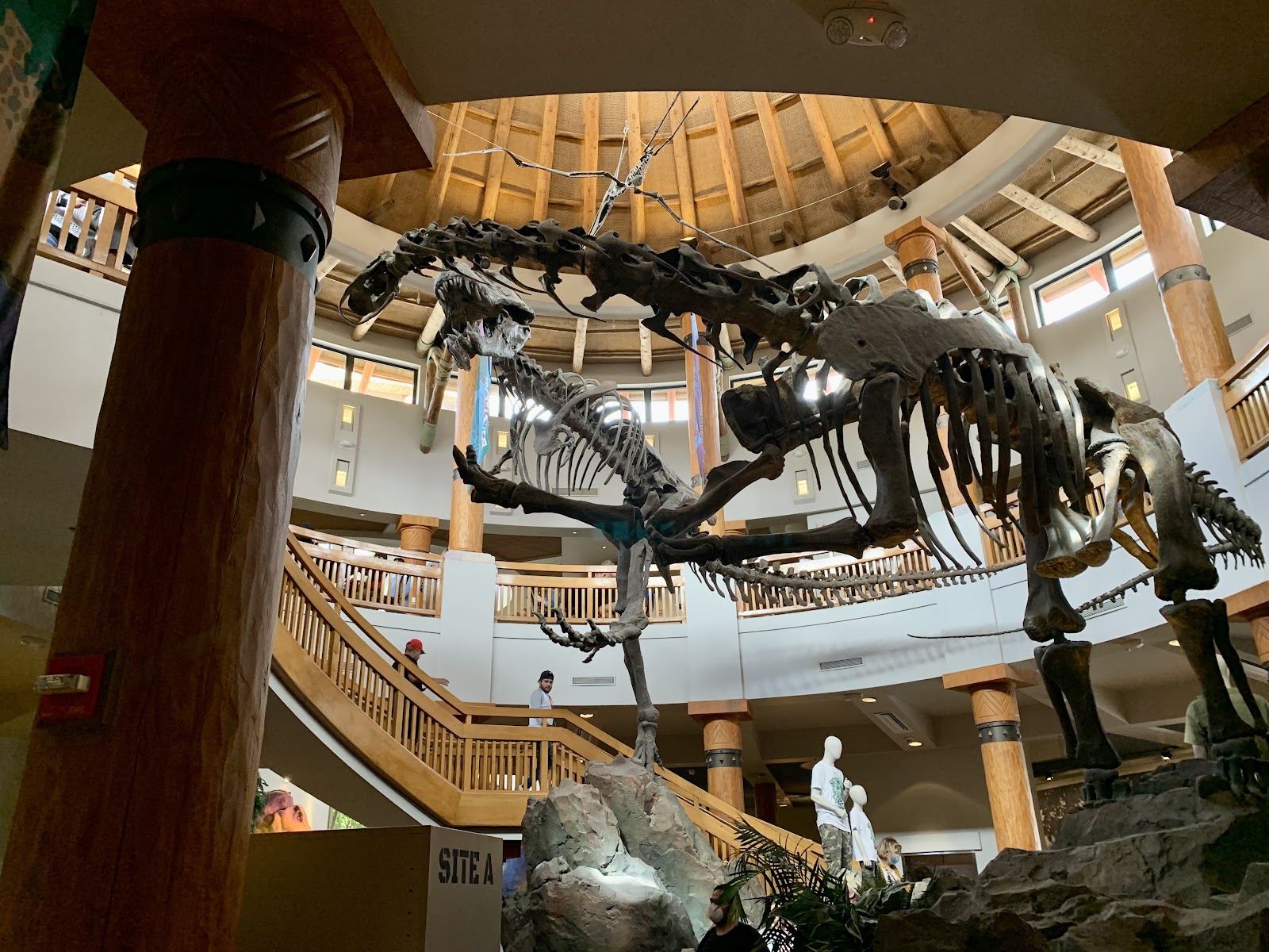 Jurassic World Discovery Center — Oficiais