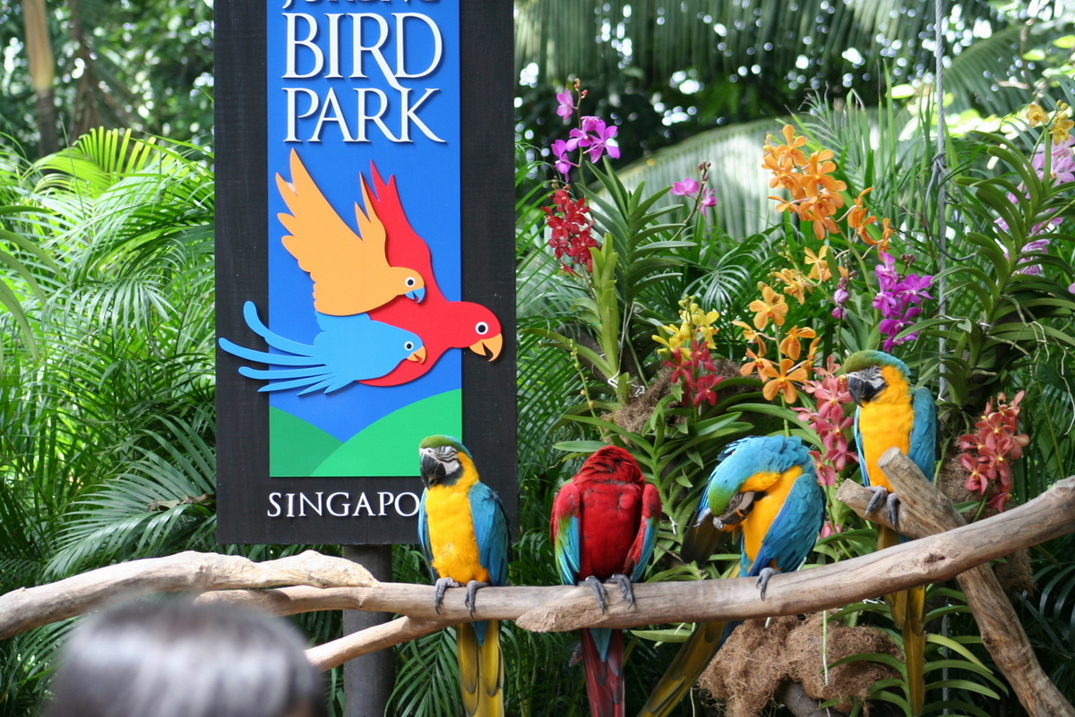 Jurong Bird Park — Oficiais