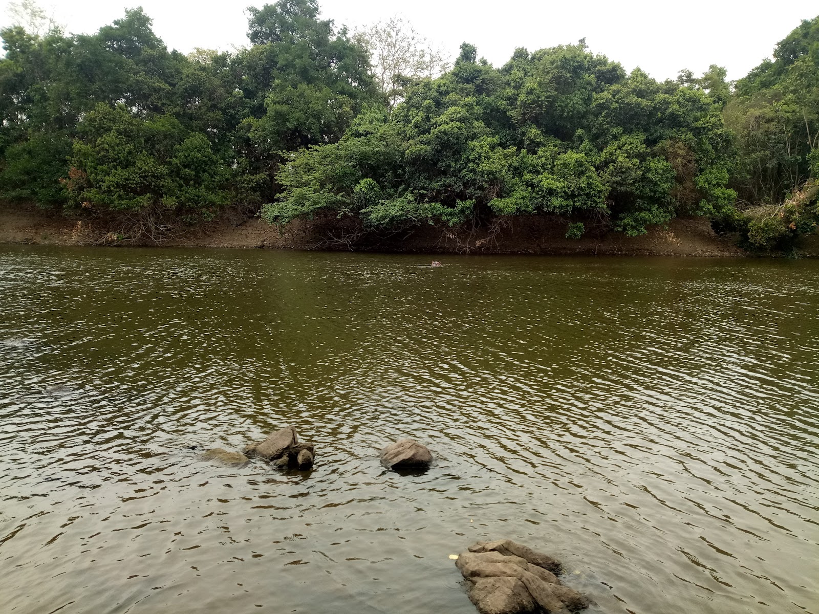 Kainji Lake National Park (Borgu Sector). — Oficiais